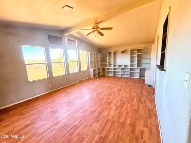 a view of a dry yard with a large tree