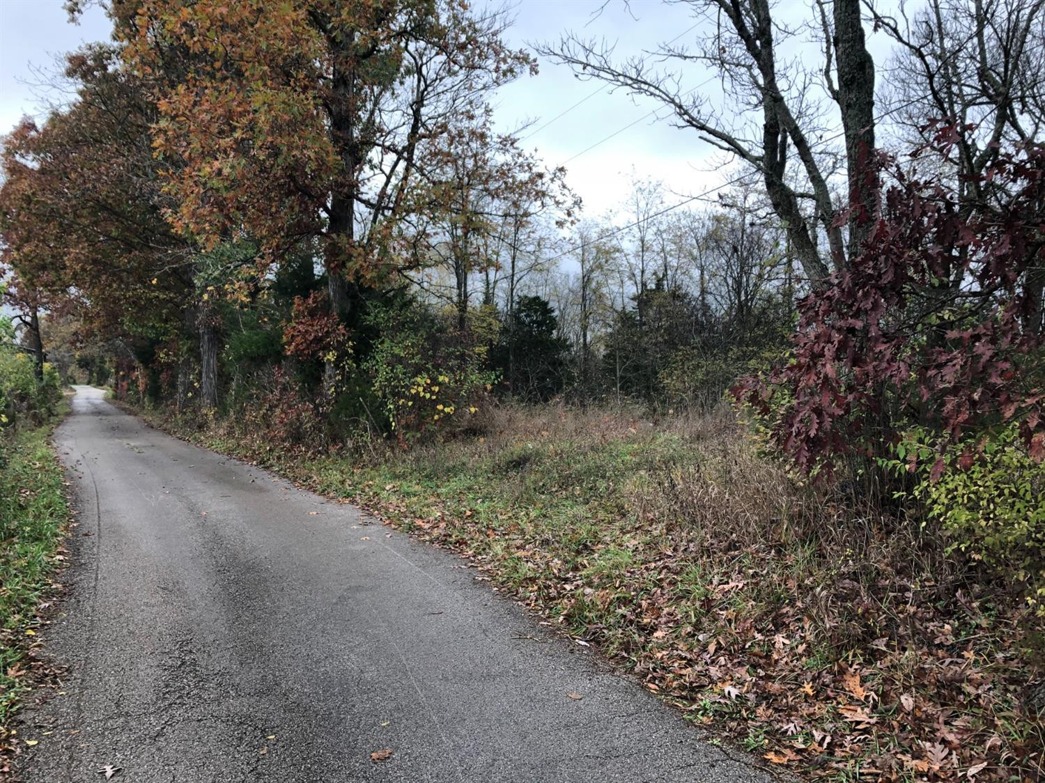 1 Johnson Road Carlisle, KY 40311 - Photo 3 of 11 Photo 3