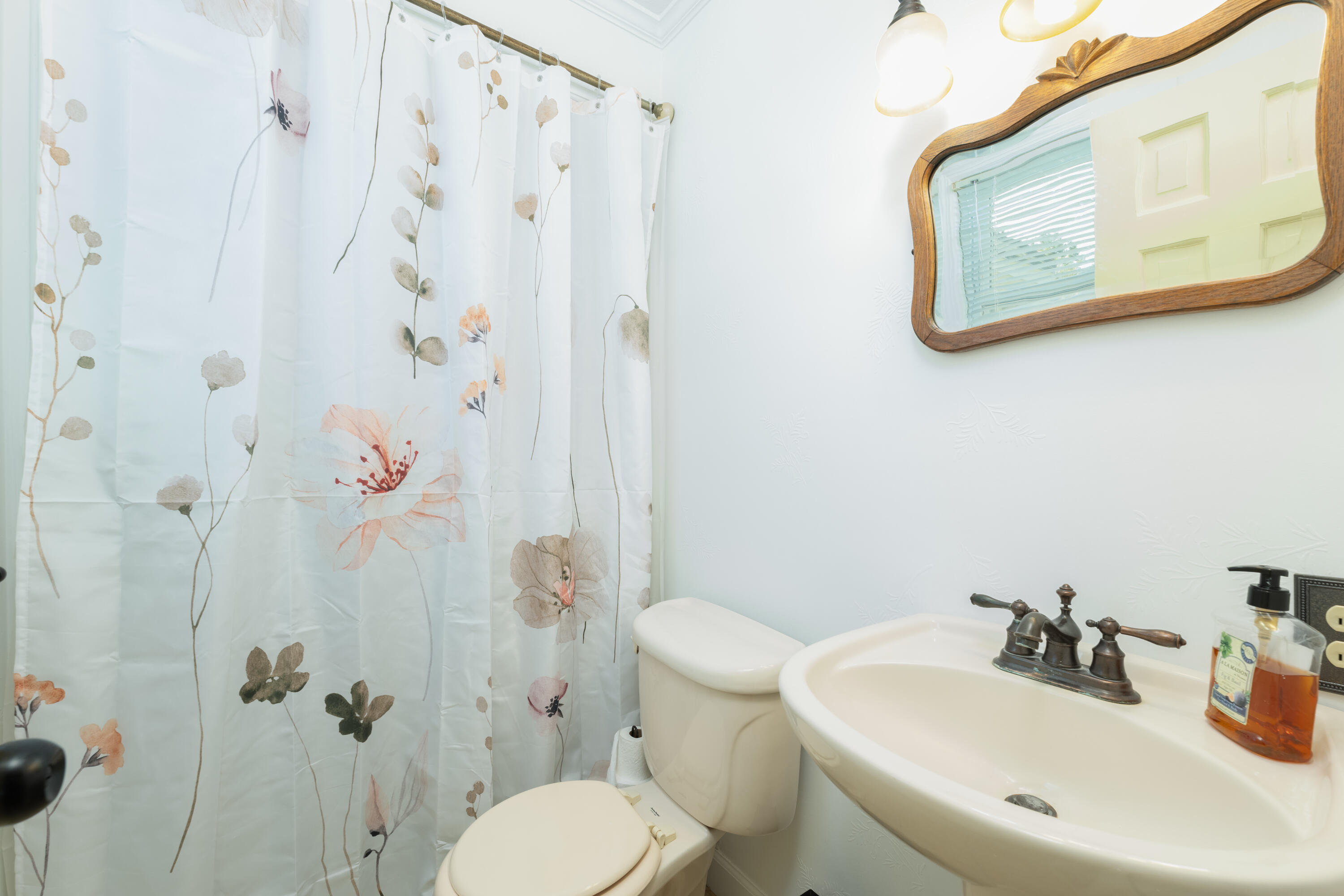806 Appii Road Moncks Corner, SC 29461 - Photo 29 of 49 P1041975-Edit