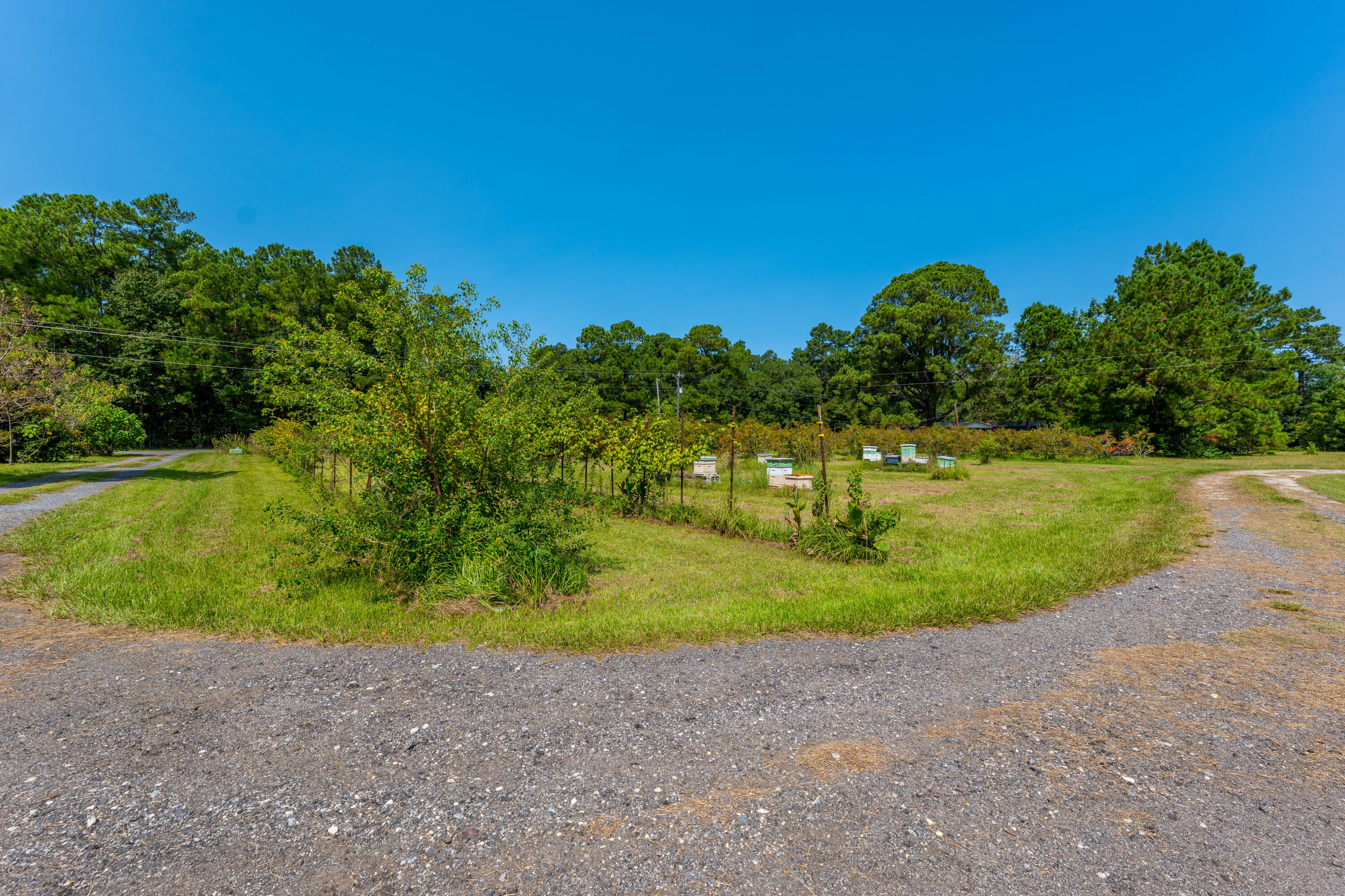 806 Appii Road Moncks Corner, SC 29461 - Photo 36 of 49 P1042034