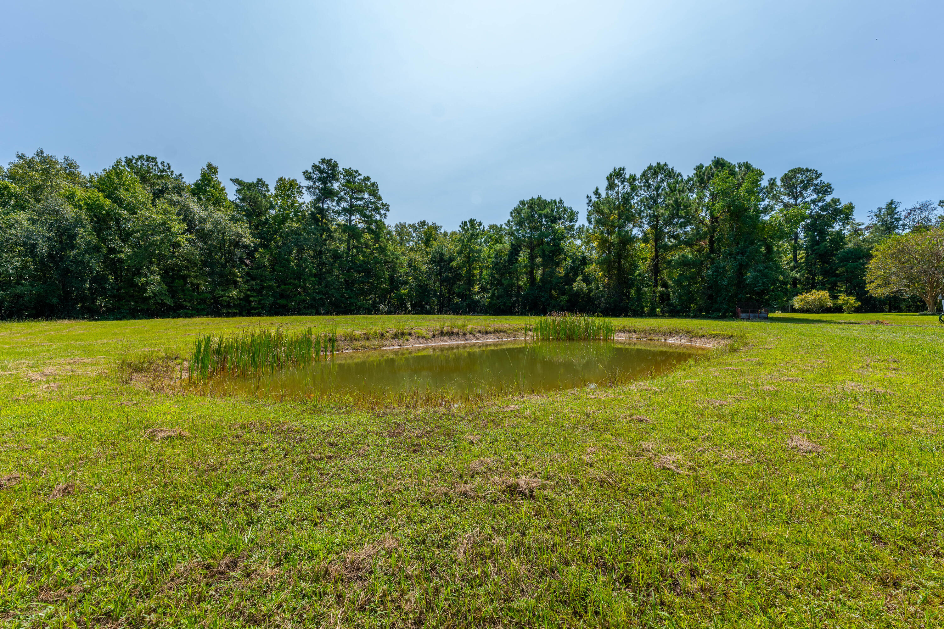 806 Appii Road Moncks Corner, SC 29461 - Photo 47 of 49 P1042033