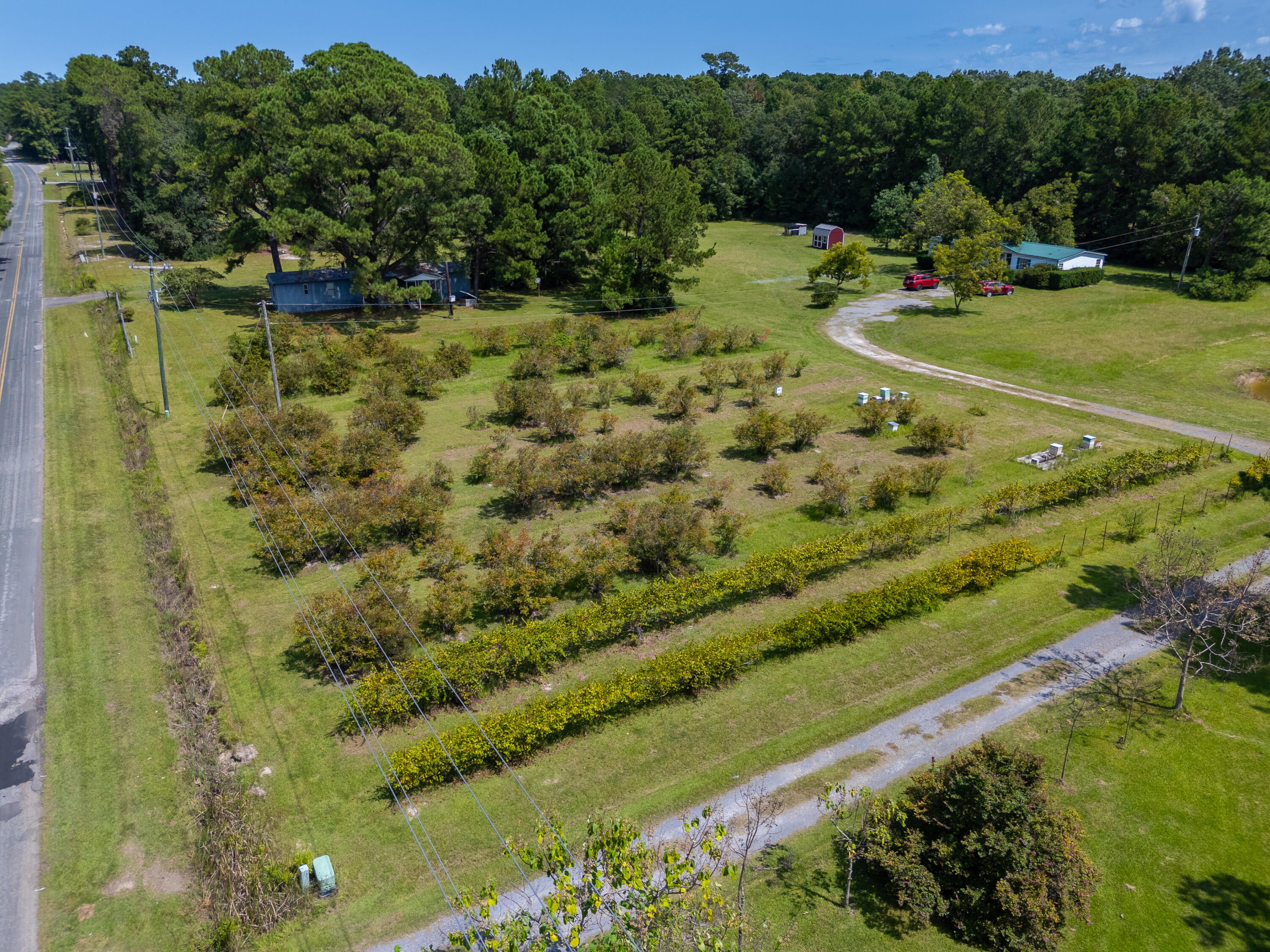 806 Appii Road Moncks Corner, SC 29461 - Photo 49 of 49 DJI_20240910130341_0045_D
