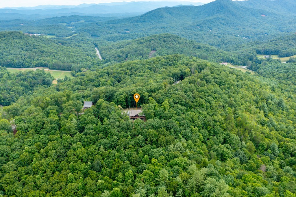404 Caldwell Overlook Brasstown, NC 28902 - Photo 2 of 73