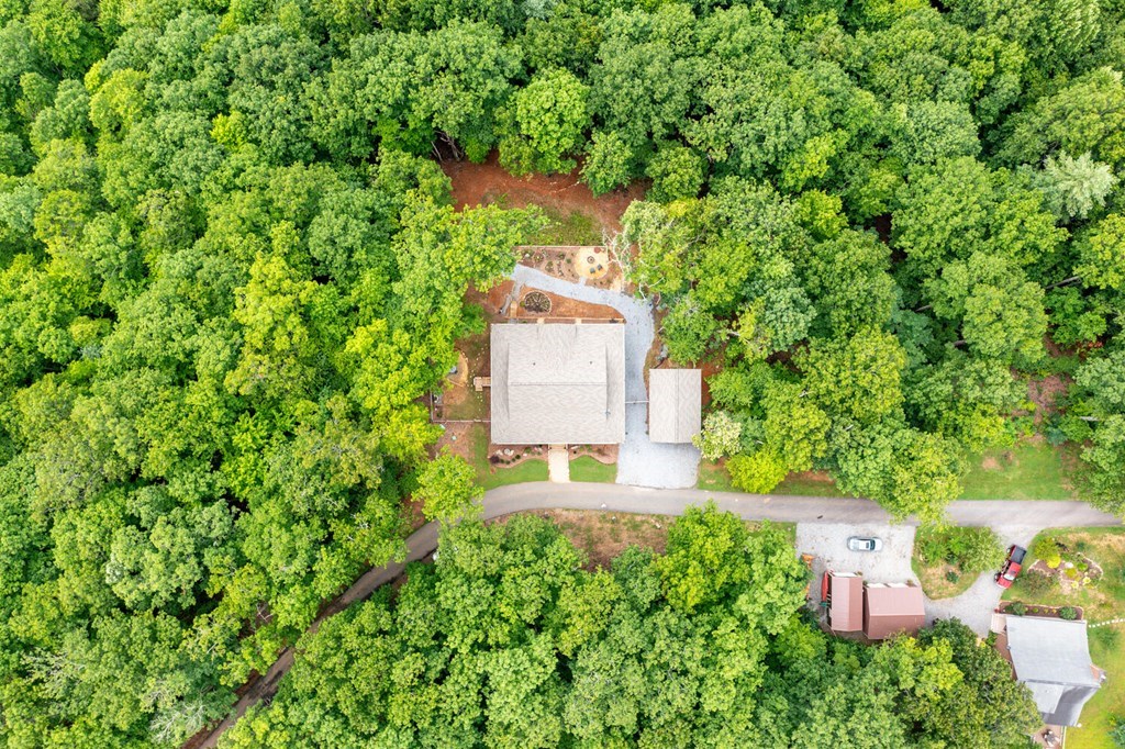 404 Caldwell Overlook Brasstown, NC 28902 - Photo 3 of 73