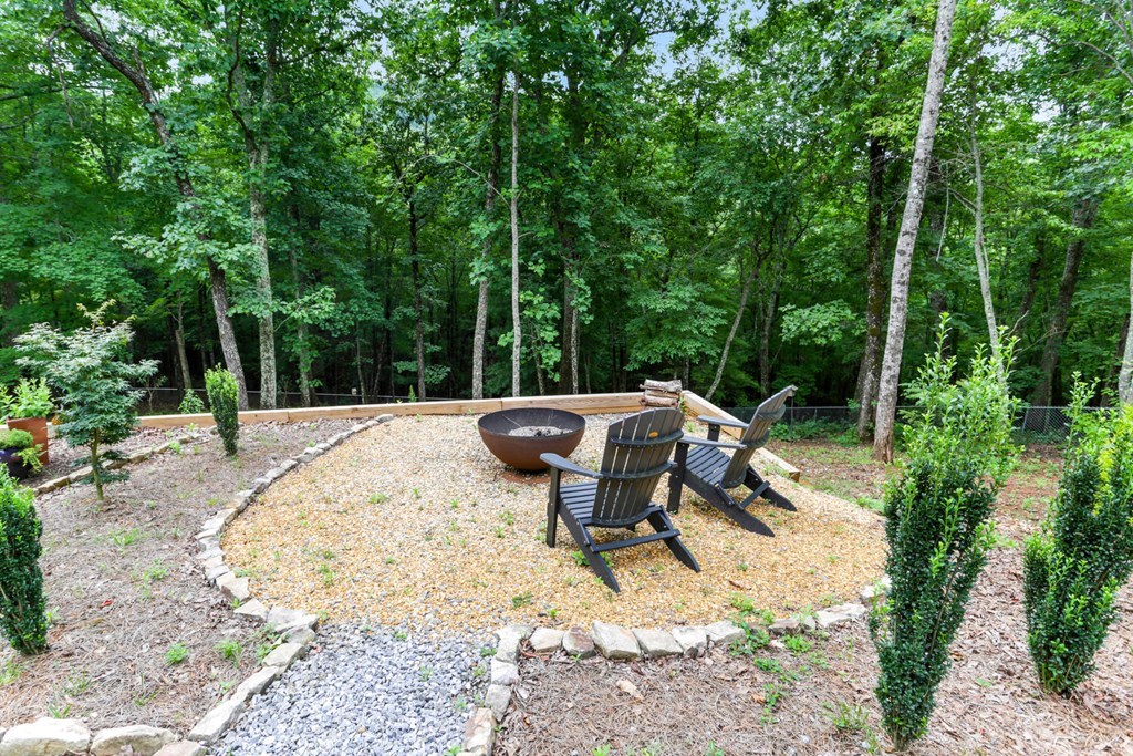 404 Caldwell Overlook Brasstown, NC 28902 - Photo 37 of 73