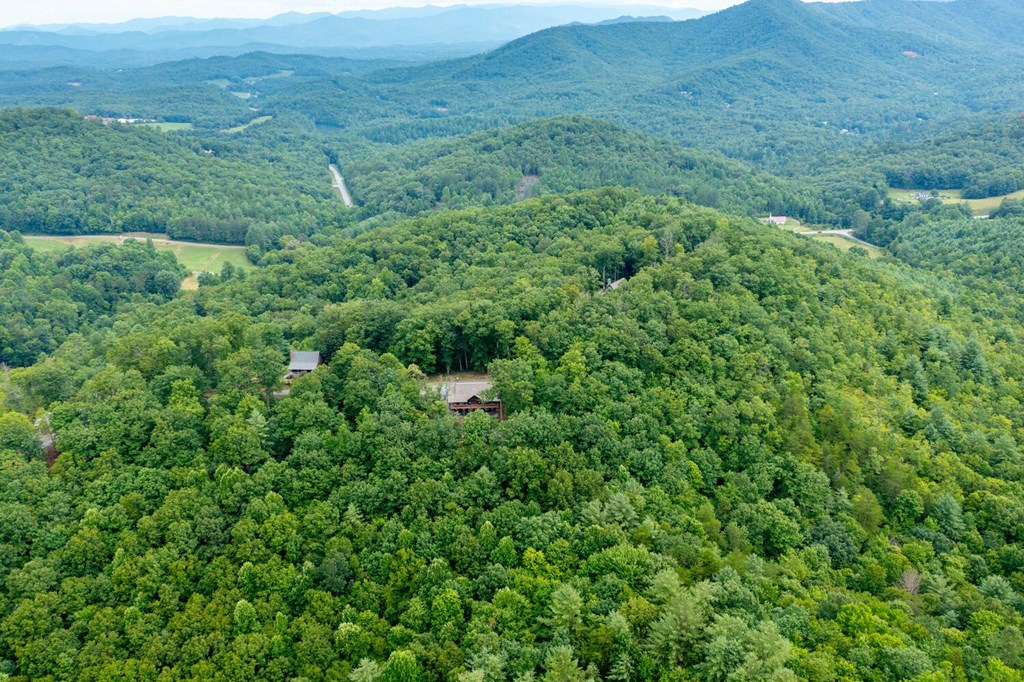 404 Caldwell Overlook Brasstown, NC 28902 - Photo 46 of 73