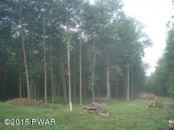 101 Marsh Pond Road Nineveh, NY 13813 - Photo 4 of 12