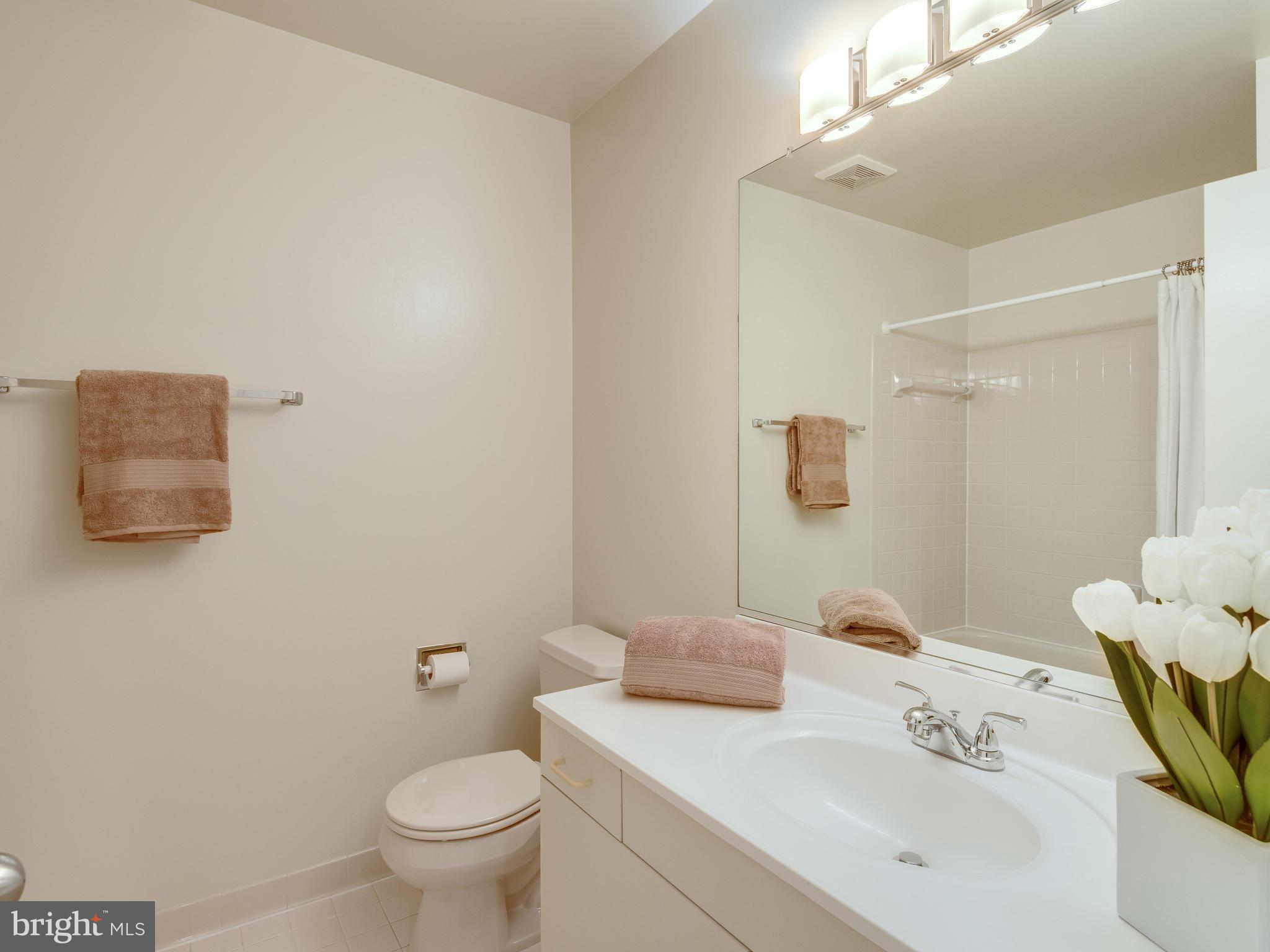 11121 Lakespray Way Reston, VA 20191 - Photo 14 of 29 Uper hallway bath