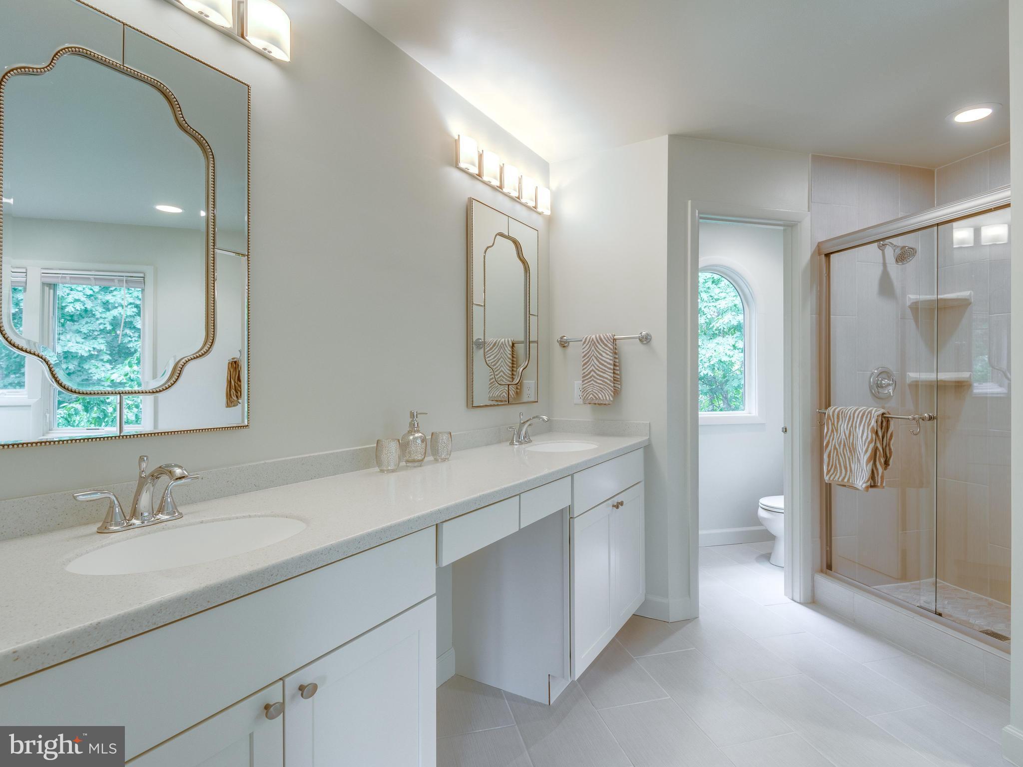 11121 Lakespray Way Reston, VA 20191 - Photo 17 of 29 Updated (2-17) opwner's bath