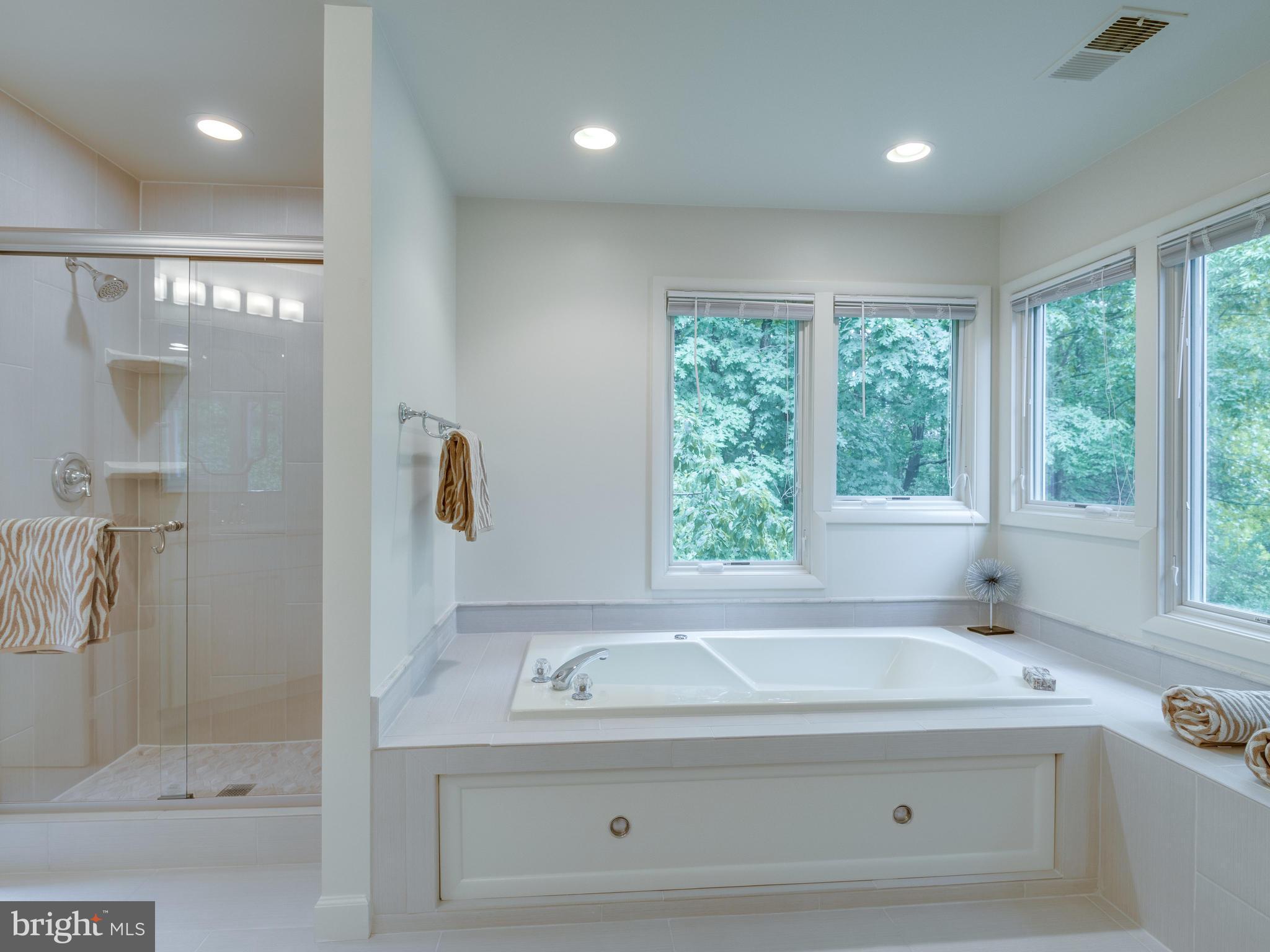 11121 Lakespray Way Reston, VA 20191 - Photo 18 of 29 Owner's bath with separate tub and shower