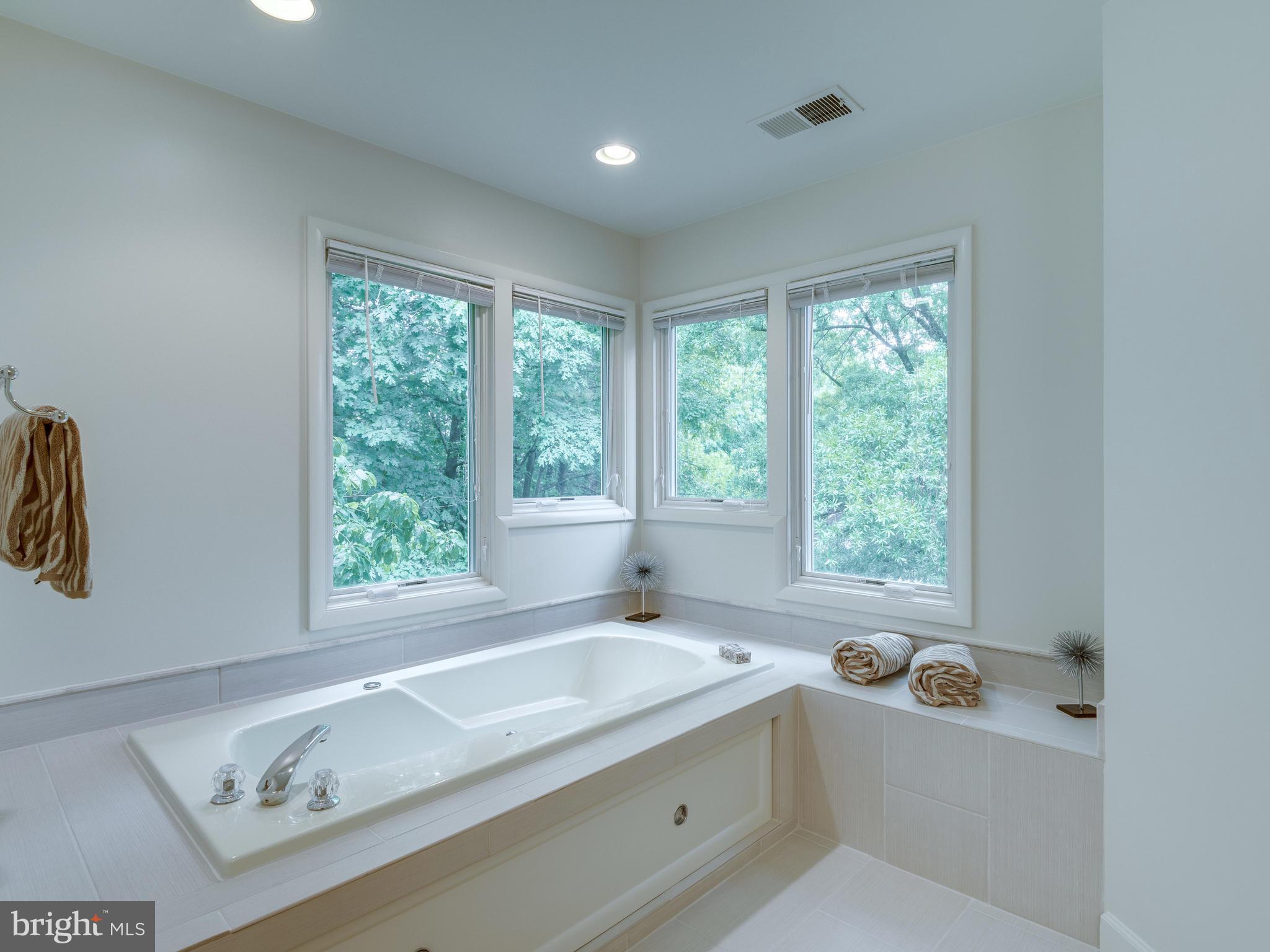 11121 Lakespray Way Reston, VA 20191 - Photo 19 of 29 Large soaking tub with view of trees
