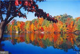 11121 Lakespray Way Reston, VA 20191 - Photo 28 of 29 One of Reston's beautiful lakes in Autumn