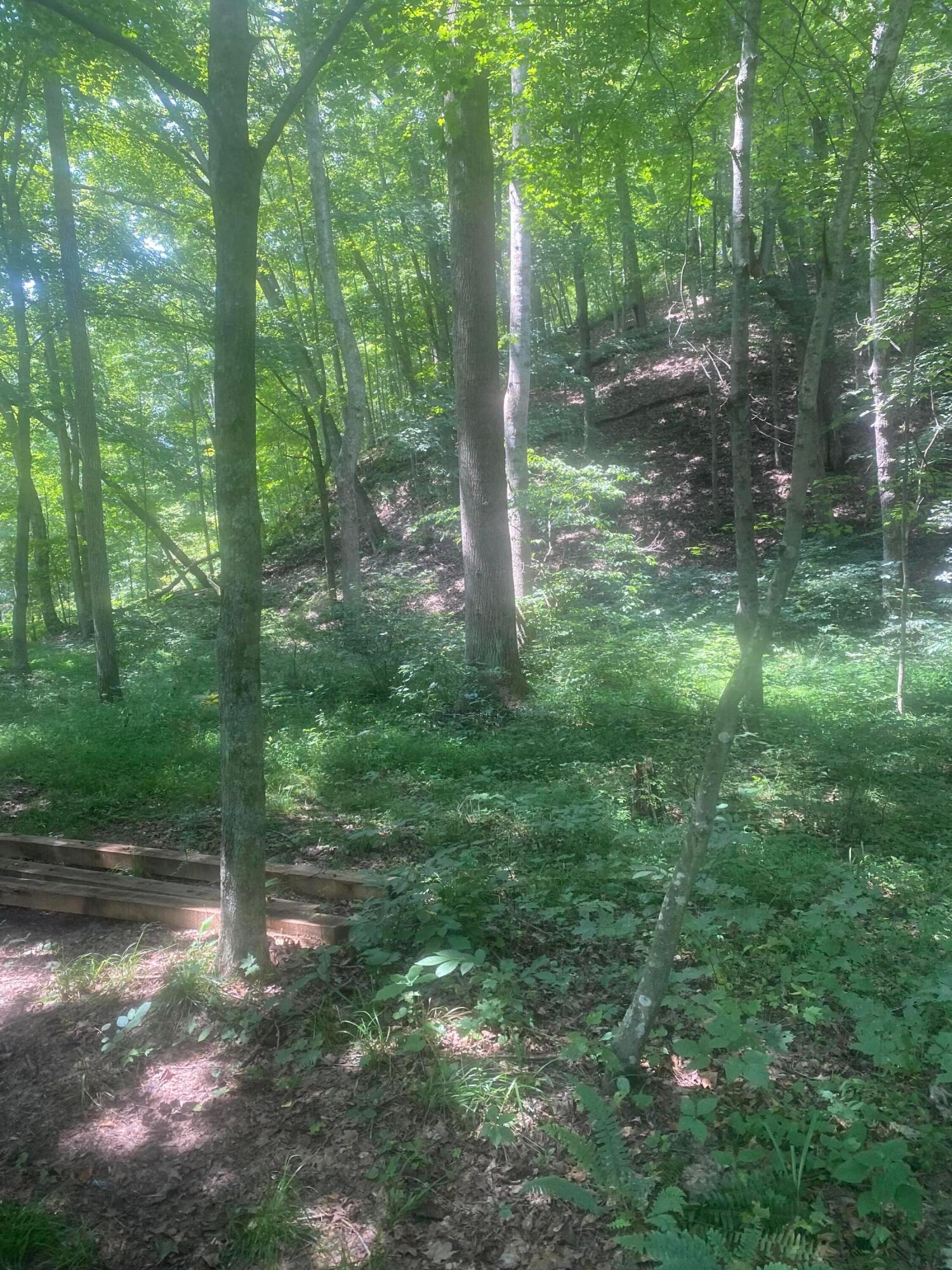 604 Woodruff Road Ray, OH 45672 - Photo 5 of 7 6A205199-F86D-43A6-8081-62345B46B2E2