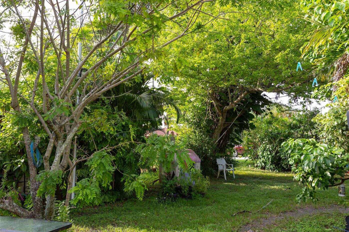 3759 Lakewood Road Palm Springs, FL 33461 - Photo 14 of 34 lakewood.yard3