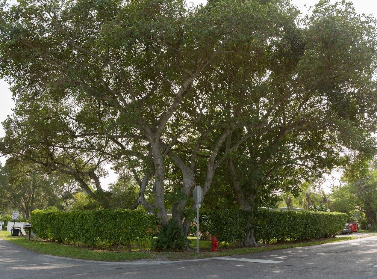 3759 Lakewood Road Palm Springs, FL 33461 - Photo 10 of 34 lakewood.cornerlot
