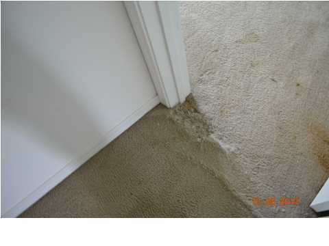 4661 Falcon Way Crestview, FL 32539 - Photo 24 of 30 Additional Photo