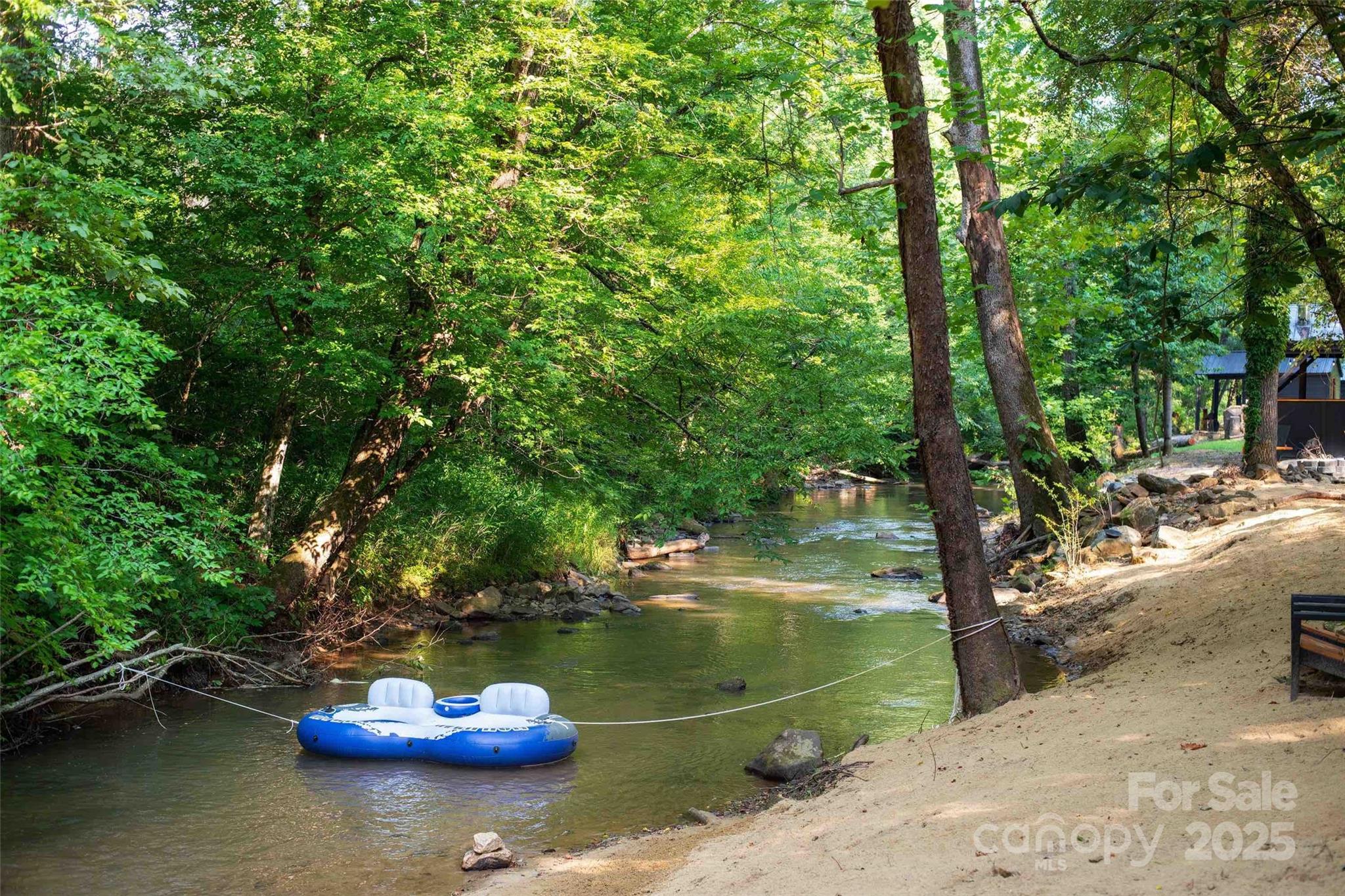 43 Polly Spout Road Marion, NC 28752 - Photo 2 of 34 a lake view with a tree