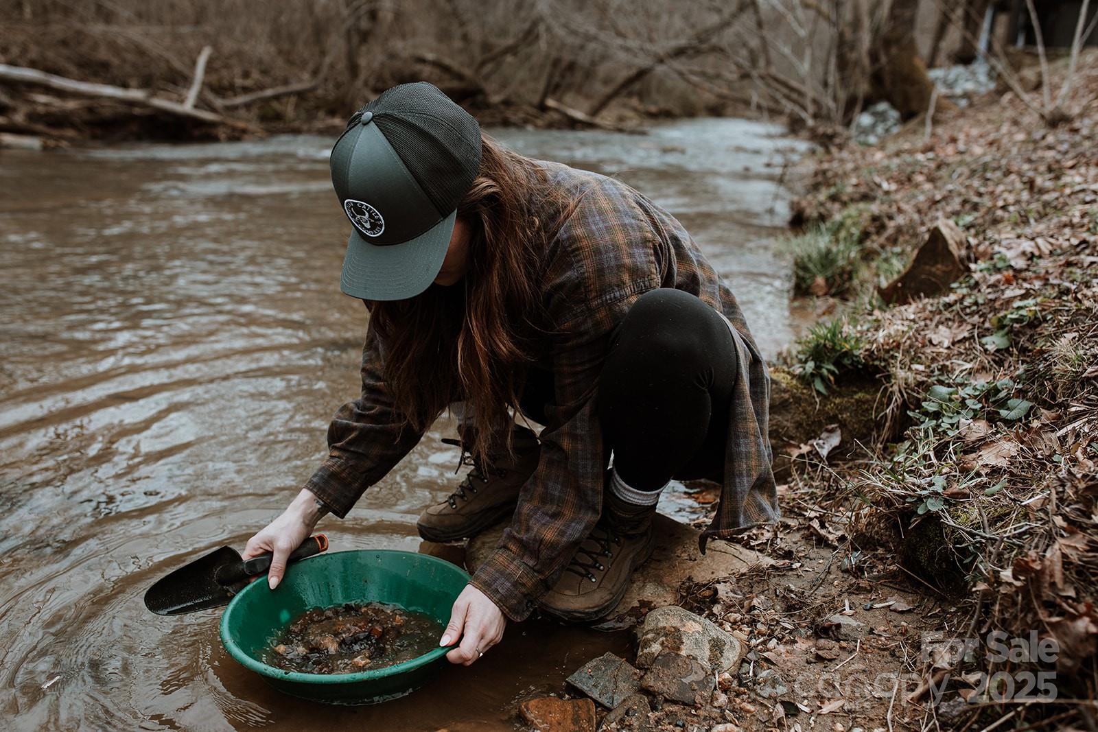 43 Polly Spout Road Marion, NC 28752 - Photo 8 of 34 a view of a yard