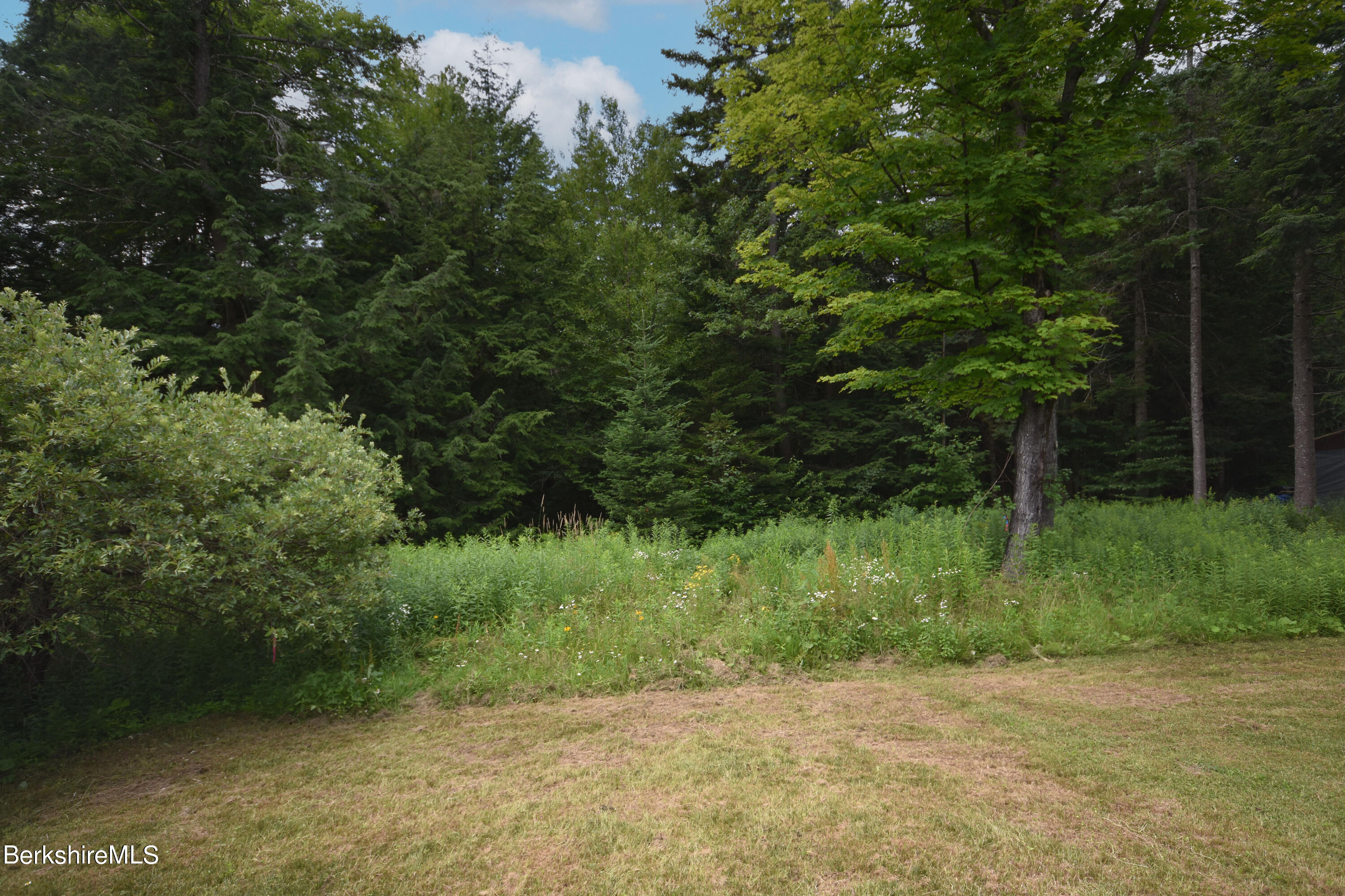 523 Center Road Savoy, MA 01256 - Photo 31 of 31 a view of a trees with a park