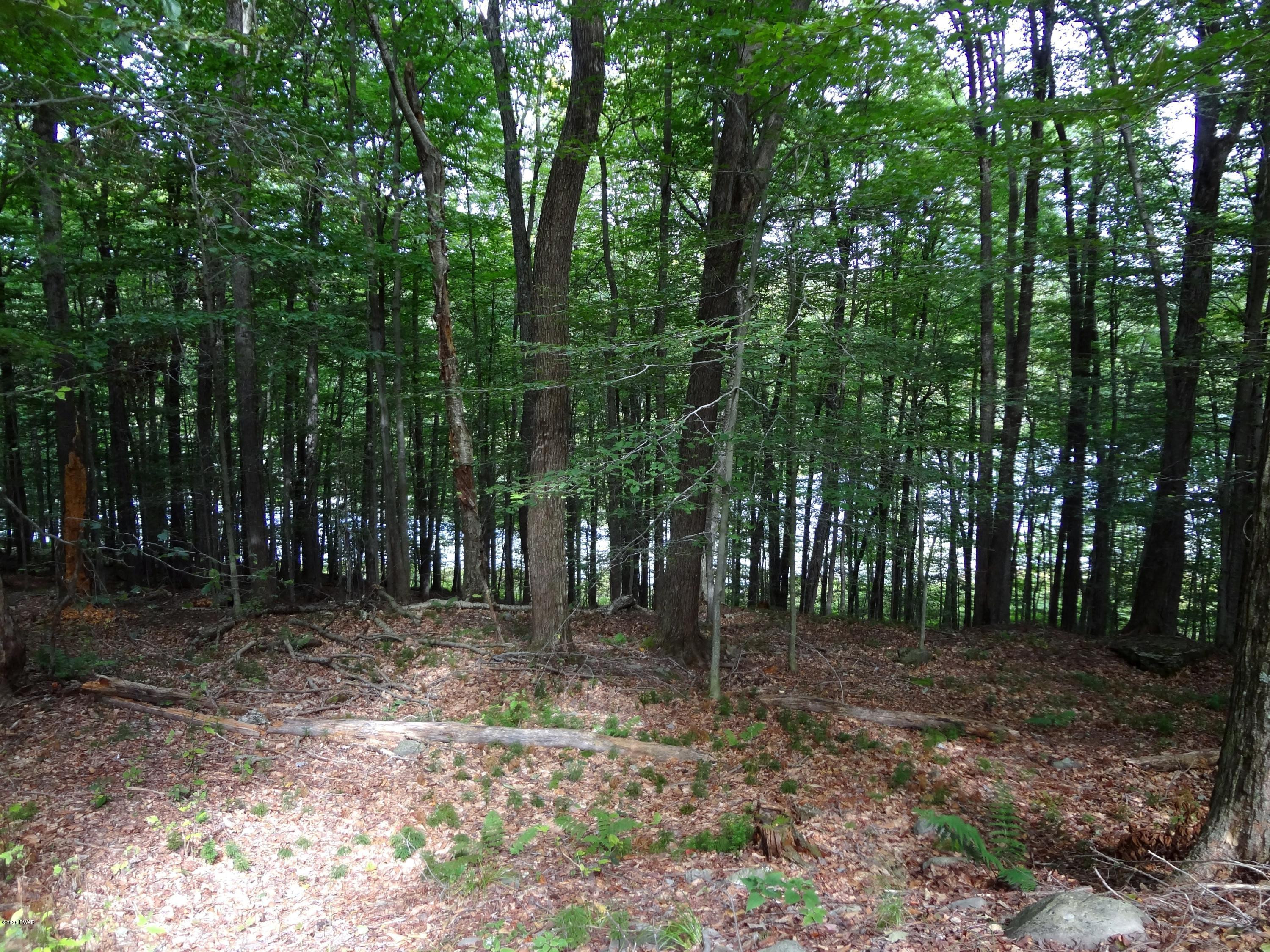 110 Ridge Road Lake Ariel, PA 18436 - Photo 8 of 45 Lake