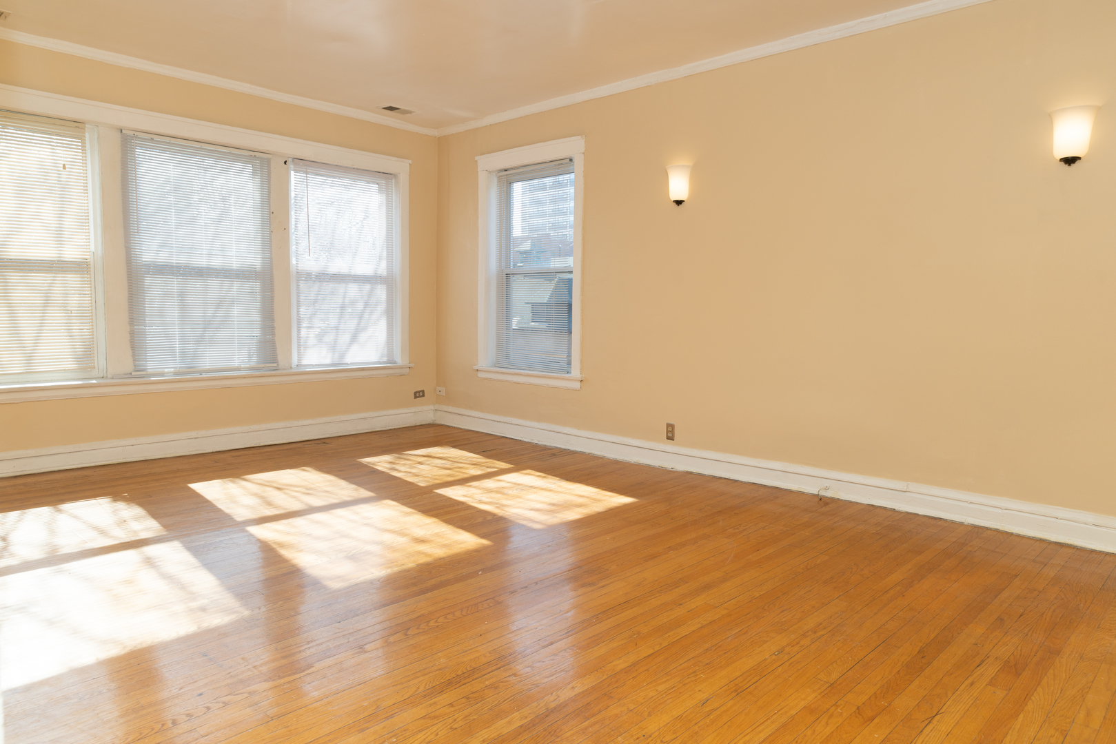 940 East 48th Street, Unit 3 Chicago, IL 60615 - Photo 3 of 13