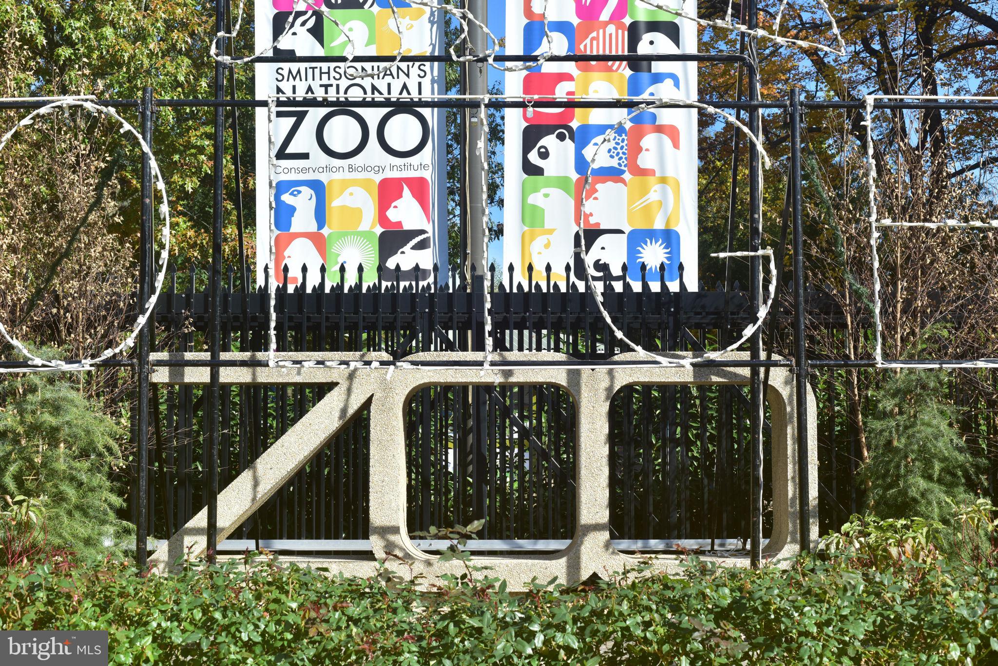 2611 Adams Mill Road Northwest, Unit 103 Washington, DC 20009 - Photo 25 of 27