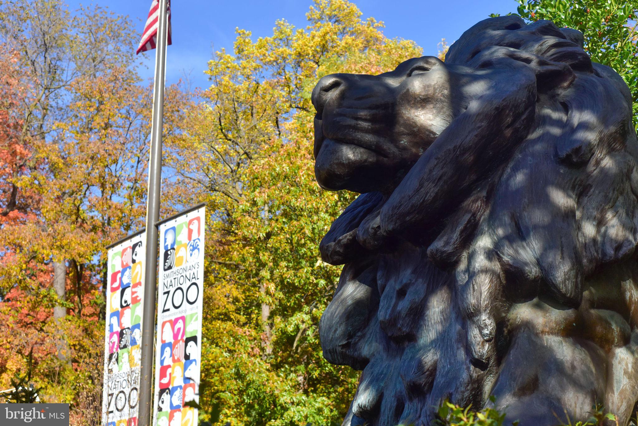 2611 Adams Mill Road Northwest, Unit 103 Washington, DC 20009 - Photo 26 of 27