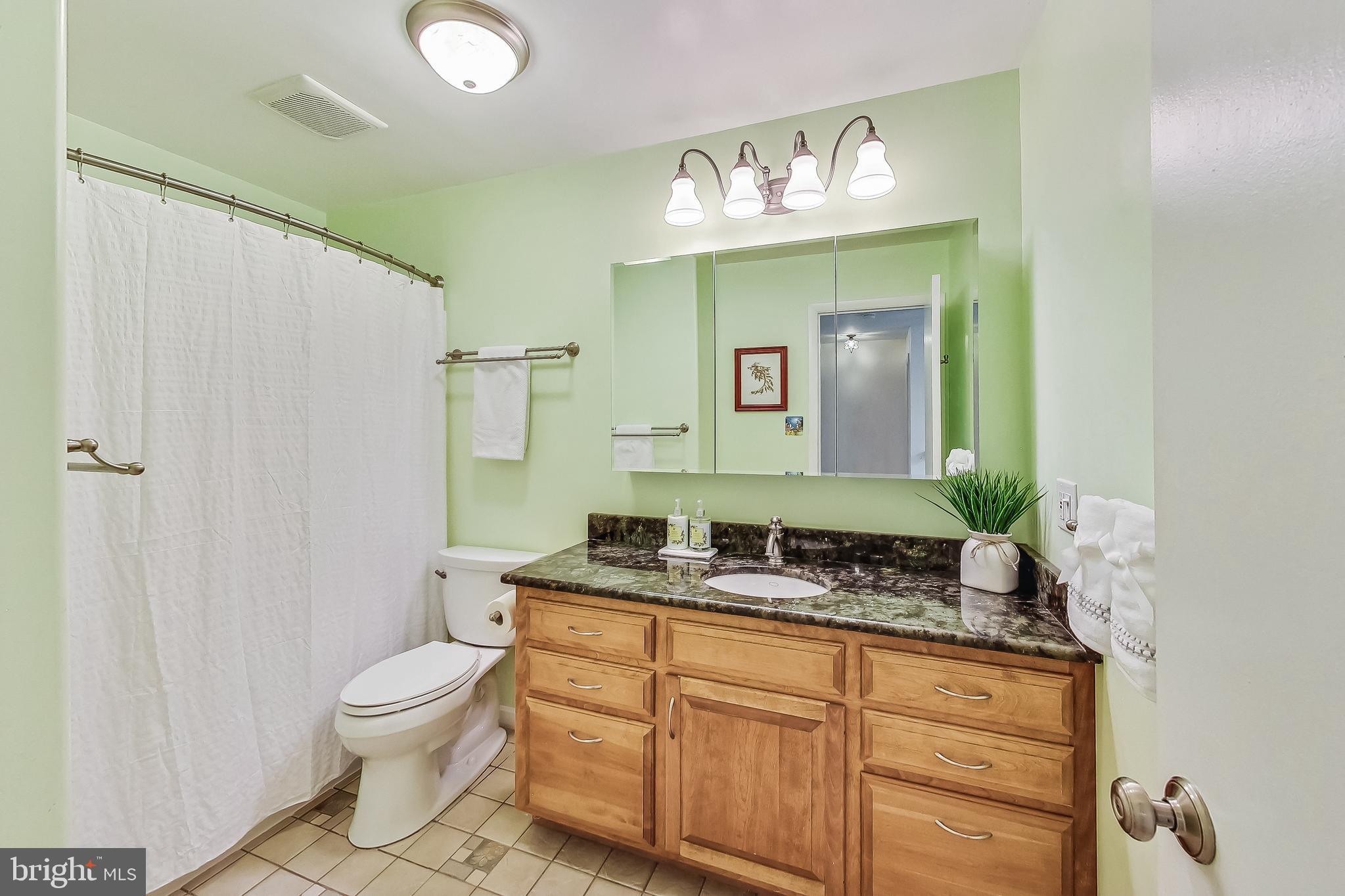 2452 Freetown Drive Reston, VA 20191 - Photo 35 of 69 Upper Level Updated Hallway Bathroom