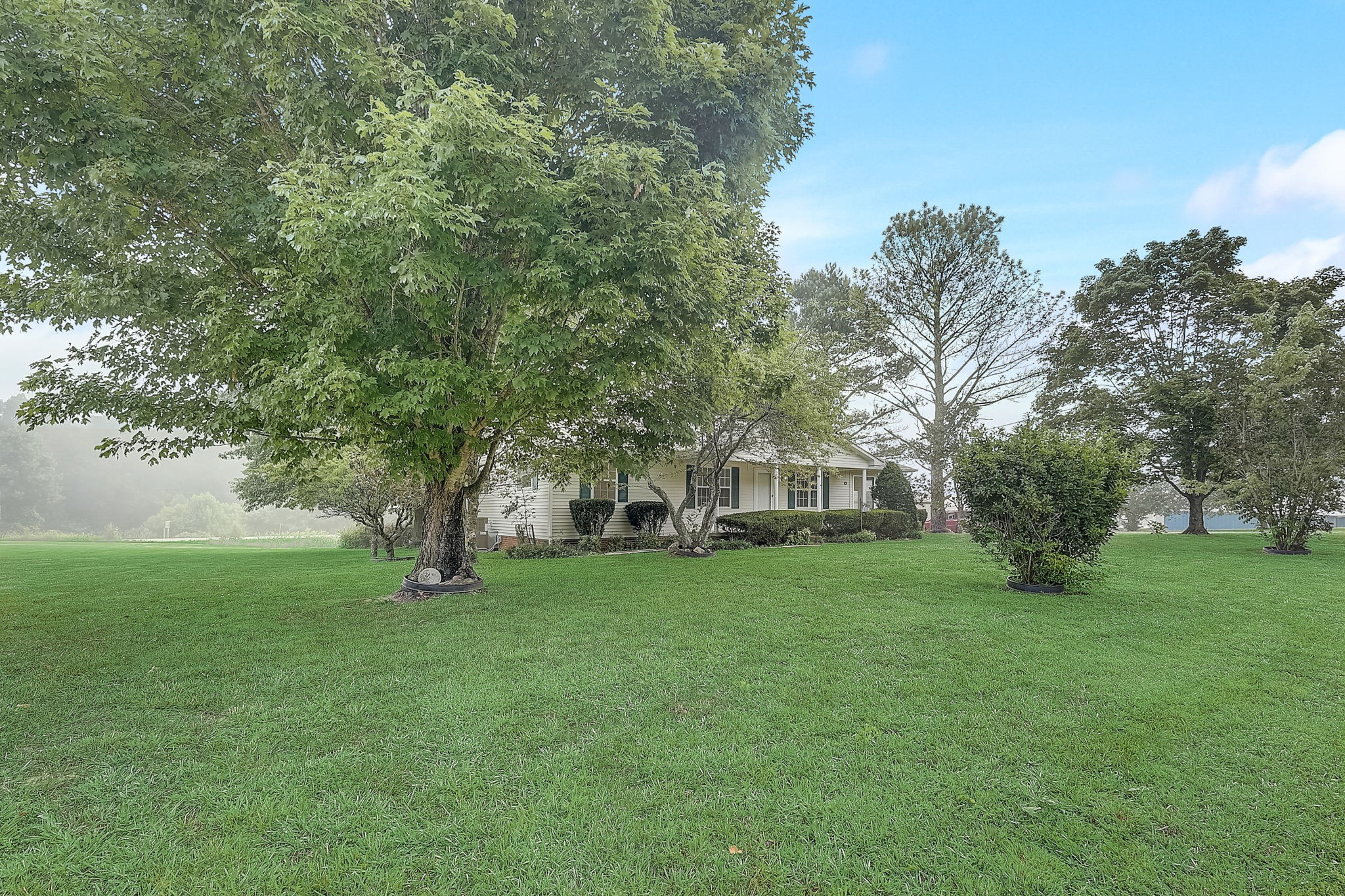 356 Howard Redmon Road Sparta, TN 38583 - Photo 3 of 68 a view of a tree in front of a house with a big yard