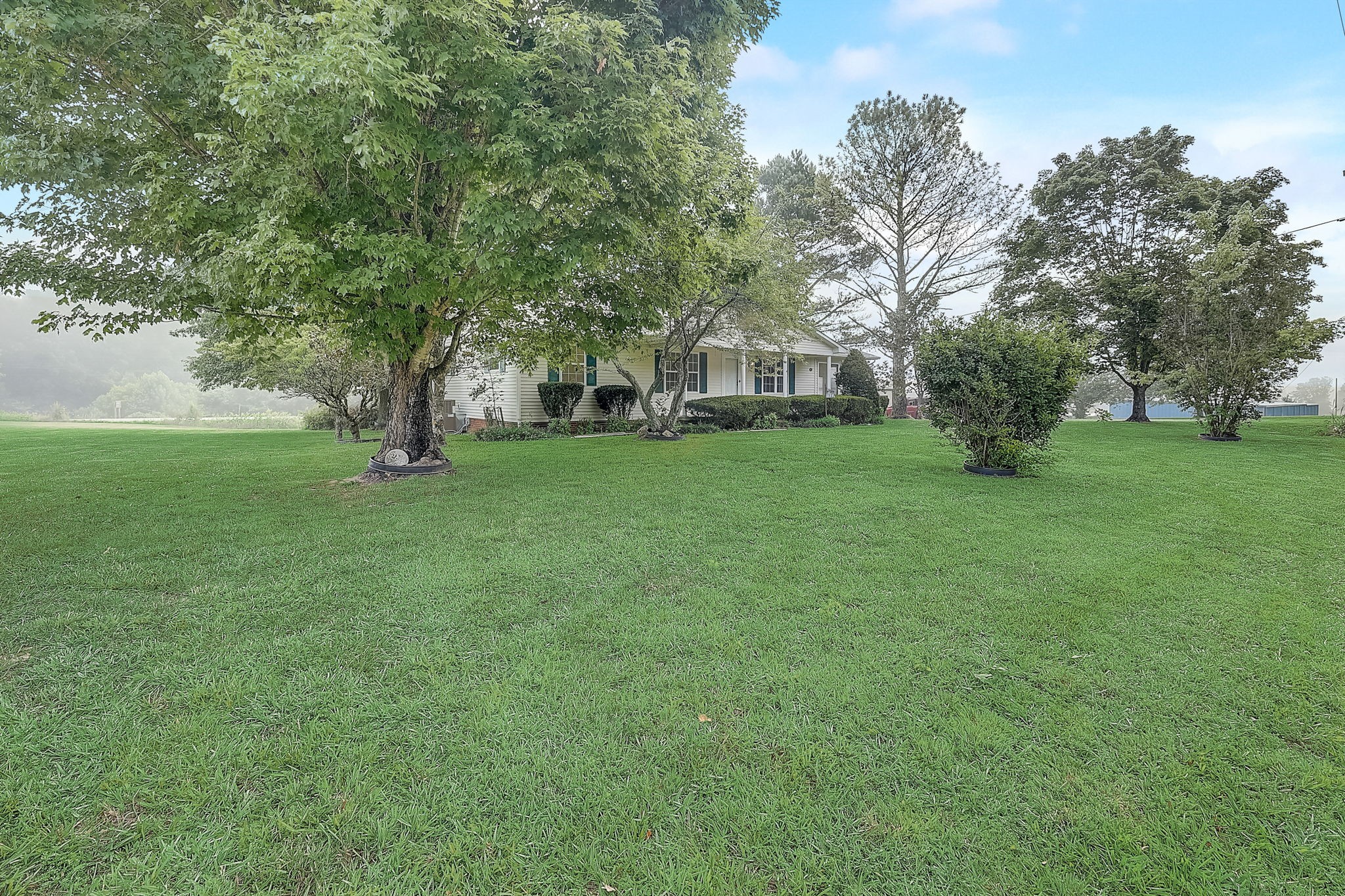 356 Howard Redmon Road Sparta, TN 38583 - Photo 4 of 68 a view of a tree in front of a house with a big yard