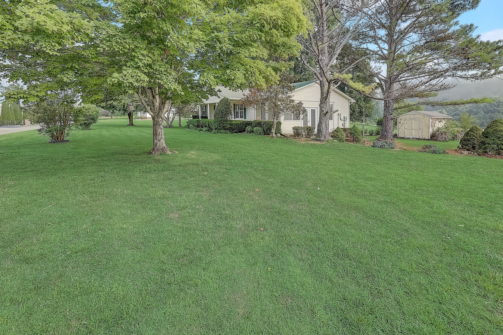 356 Howard Redmon Road Sparta, TN 38583 - Photo 41 of 68 a view of a tree in front of a house