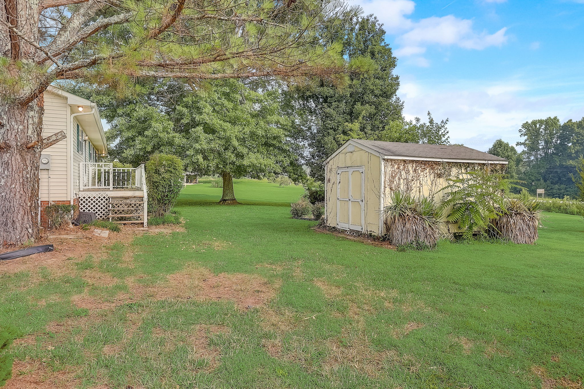 356 Howard Redmon Road Sparta, TN 38583 - Photo 50 of 68 a view of a backyard with large trees