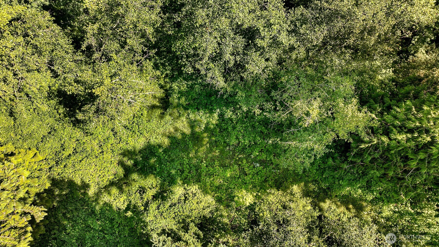 3108-nhn Northshore Road Bellingham, WA 98226 - Photo 11 of 26