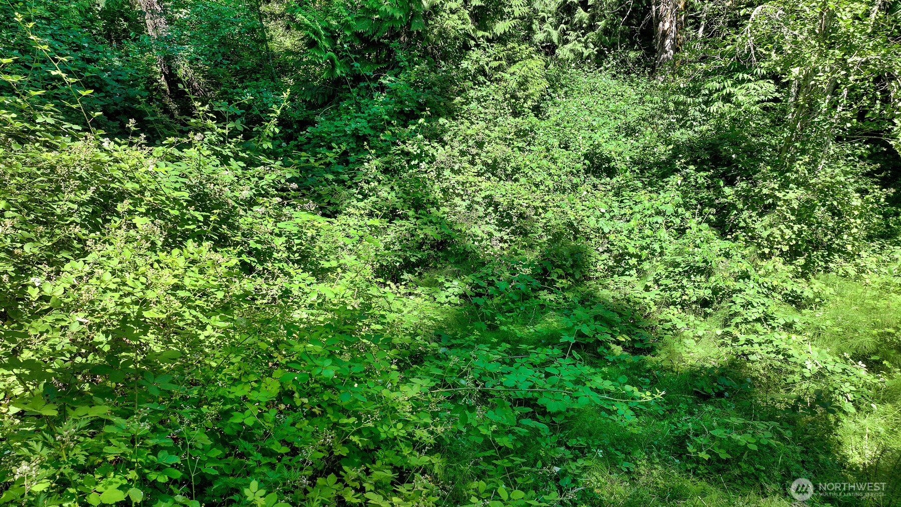 3108-nhn Northshore Road Bellingham, WA 98226 - Photo 13 of 26