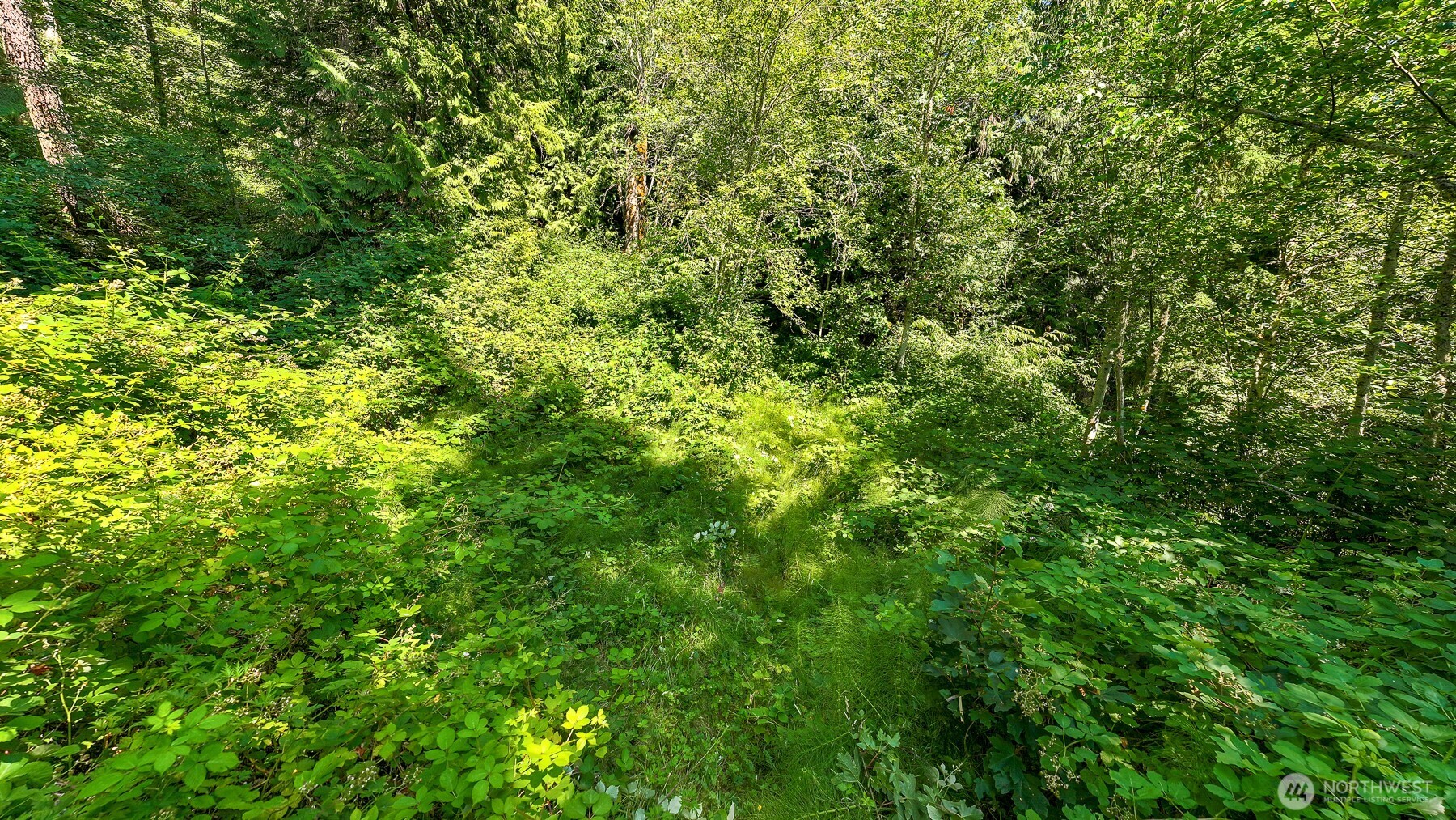 3108-nhn Northshore Road Bellingham, WA 98226 - Photo 14 of 26