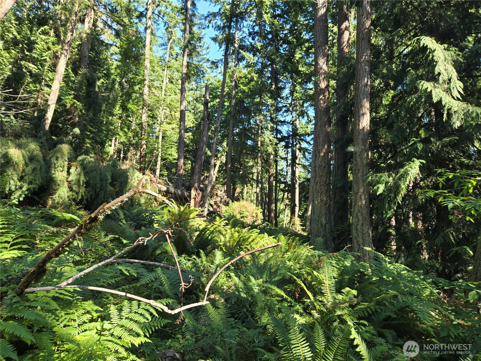 3108-nhn Northshore Road Bellingham, WA 98226 - Photo 15 of 26