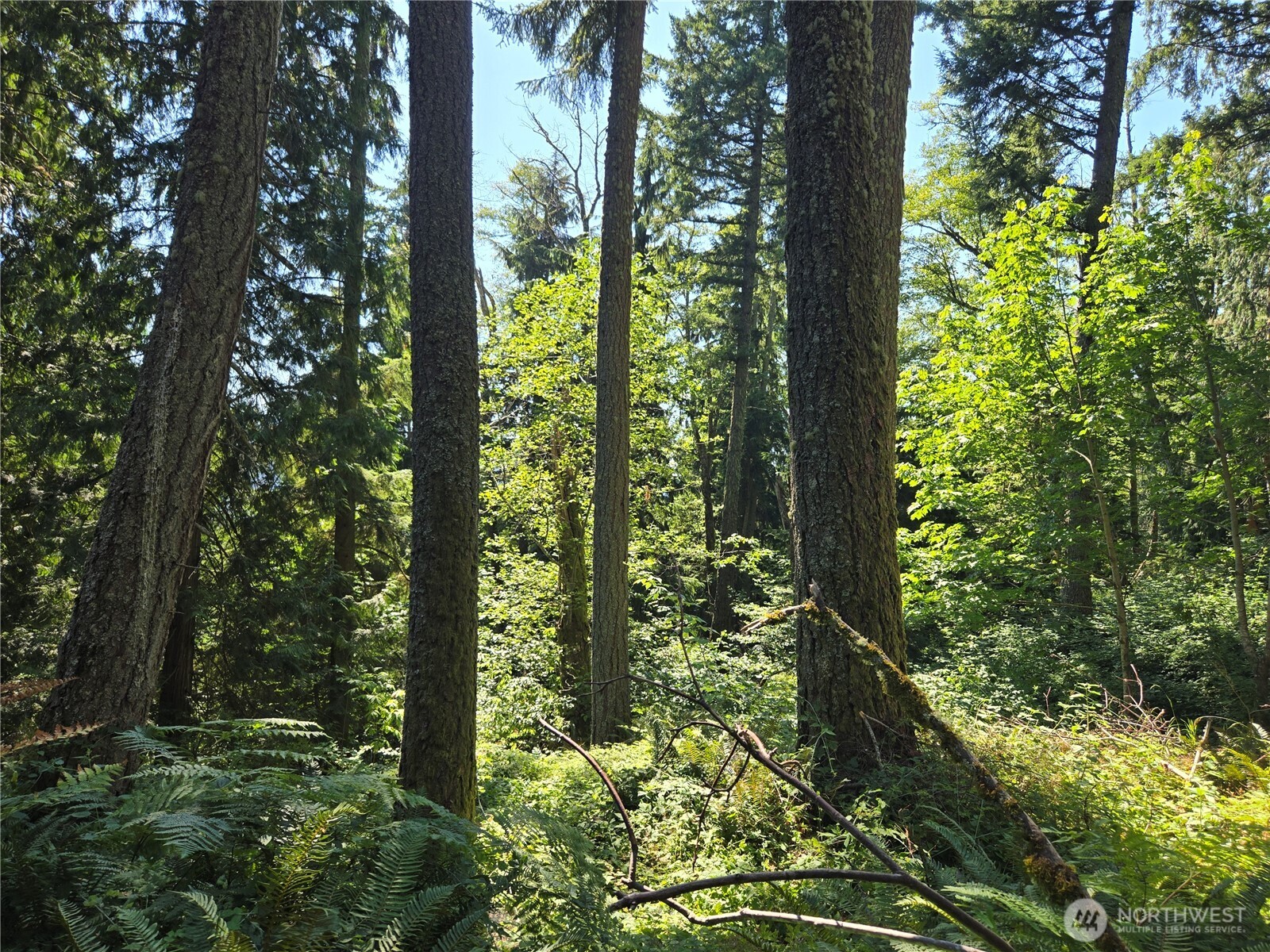 3108-nhn Northshore Road Bellingham, WA 98226 - Photo 16 of 26