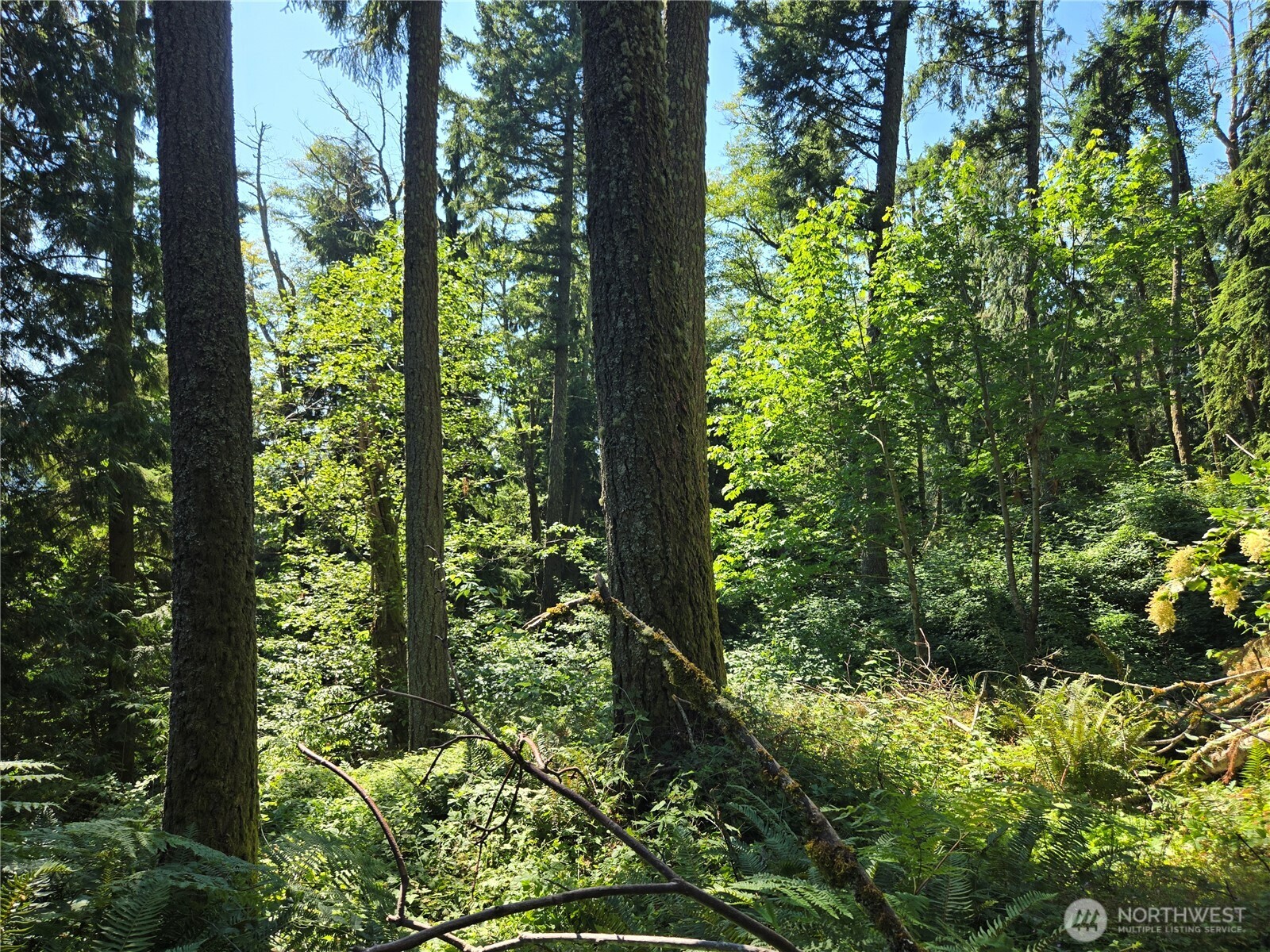 3108-nhn Northshore Road Bellingham, WA 98226 - Photo 17 of 26