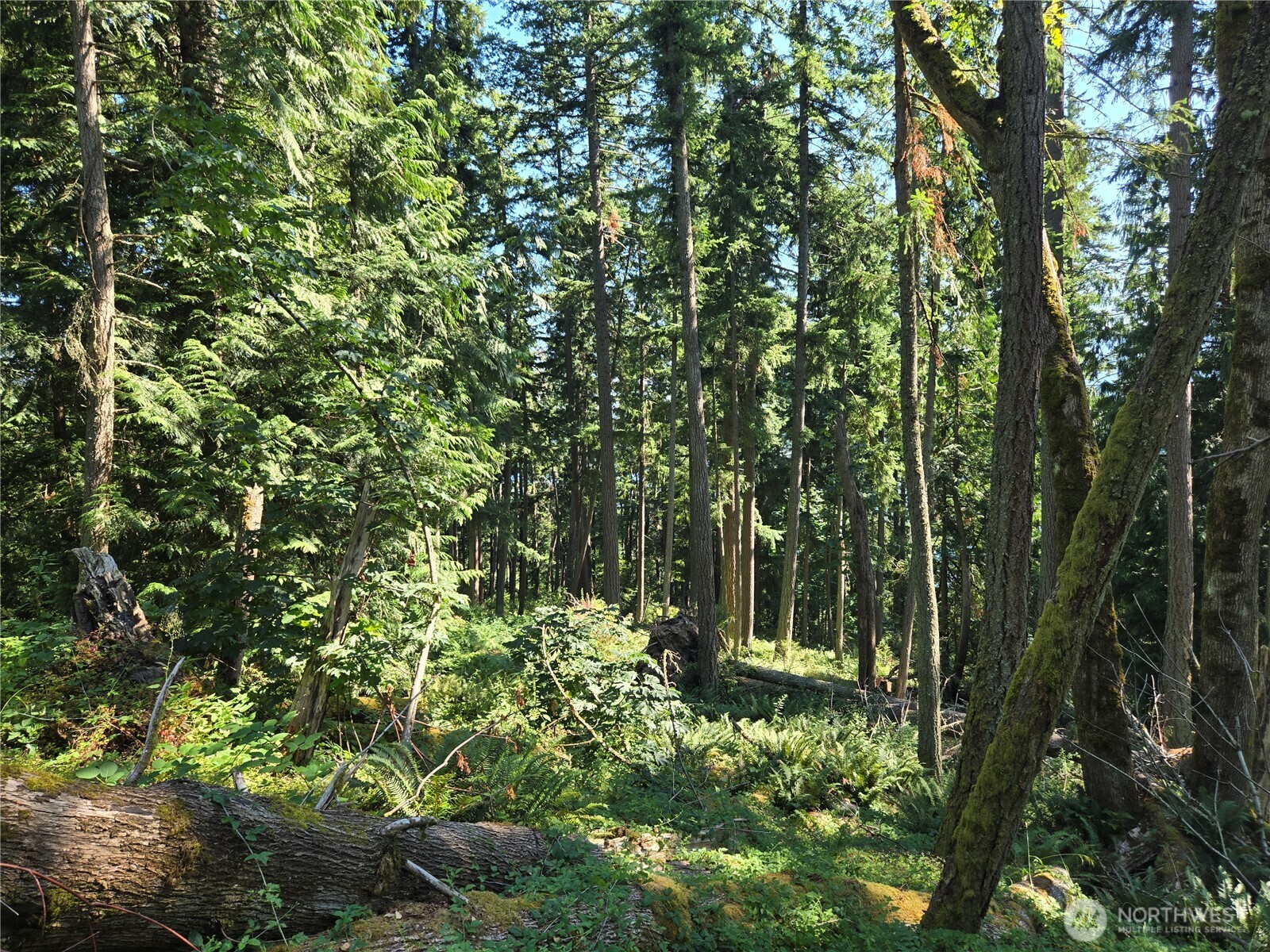 3108-nhn Northshore Road Bellingham, WA 98226 - Photo 18 of 26