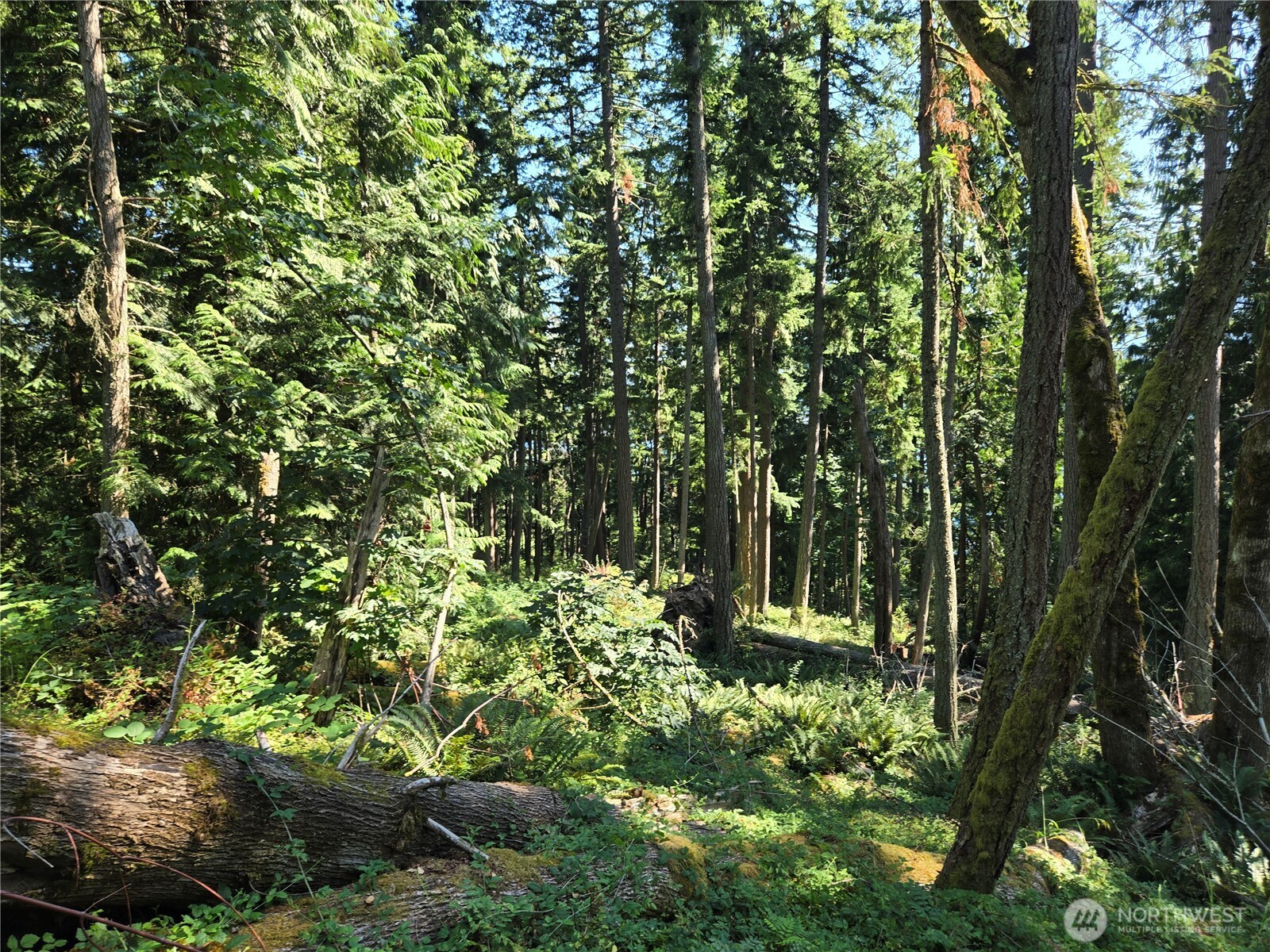 3108-nhn Northshore Road Bellingham, WA 98226 - Photo 19 of 26