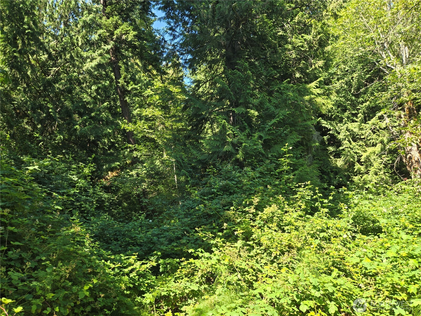 3108-nhn Northshore Road Bellingham, WA 98226 - Photo 21 of 26