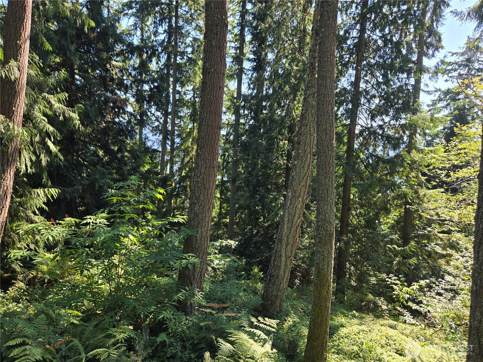 3108-nhn Northshore Road Bellingham, WA 98226 - Photo 22 of 26