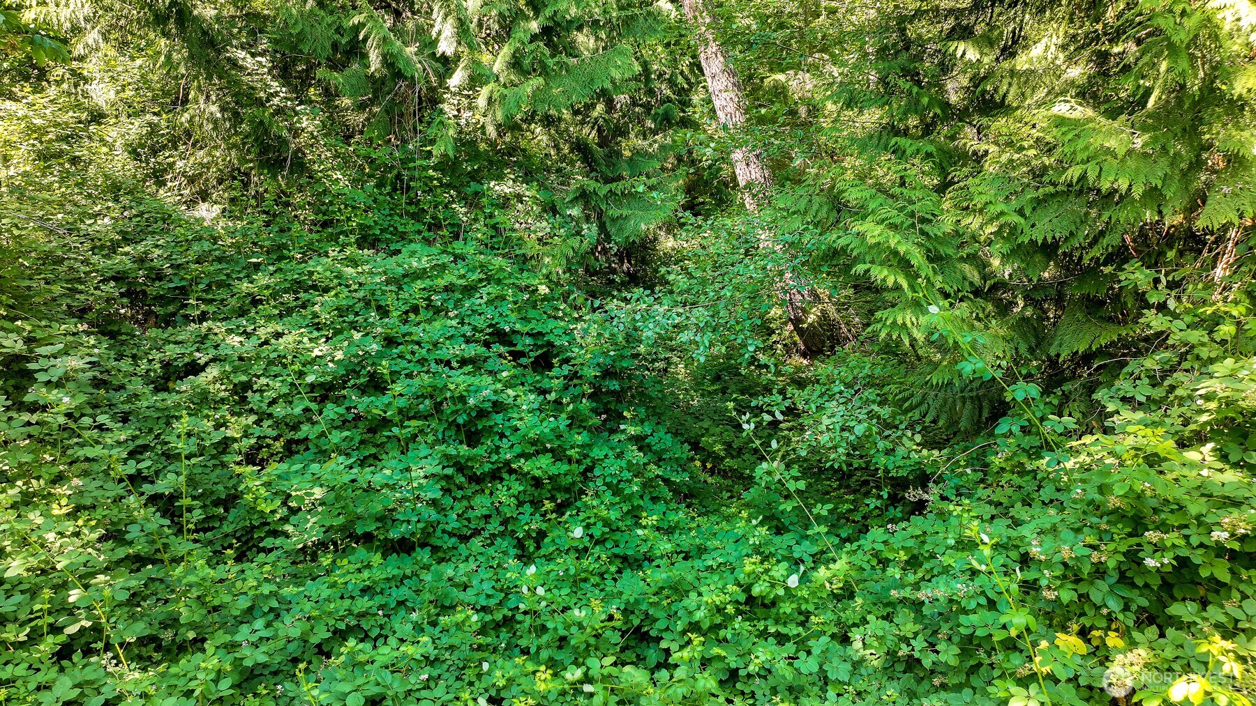 3108-nhn Northshore Road Bellingham, WA 98226 - Photo 10 of 26