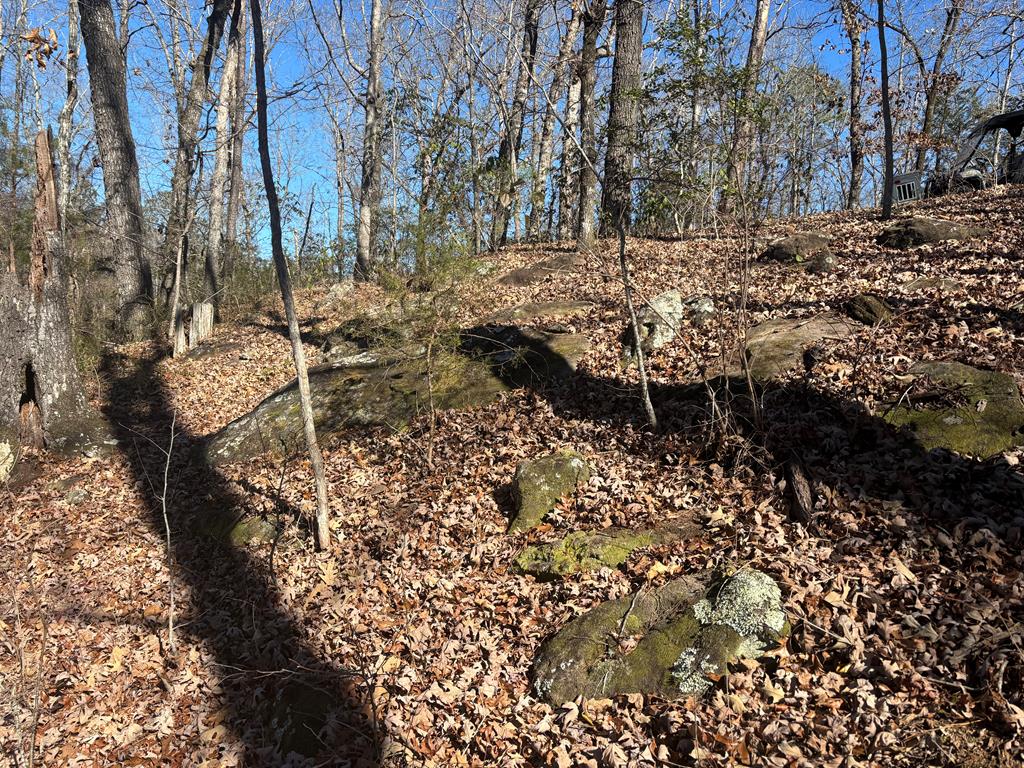 606 Herman Bell Road Mauk, GA 31058 - Photo 57 of 59 rock outcroppings on the northern section