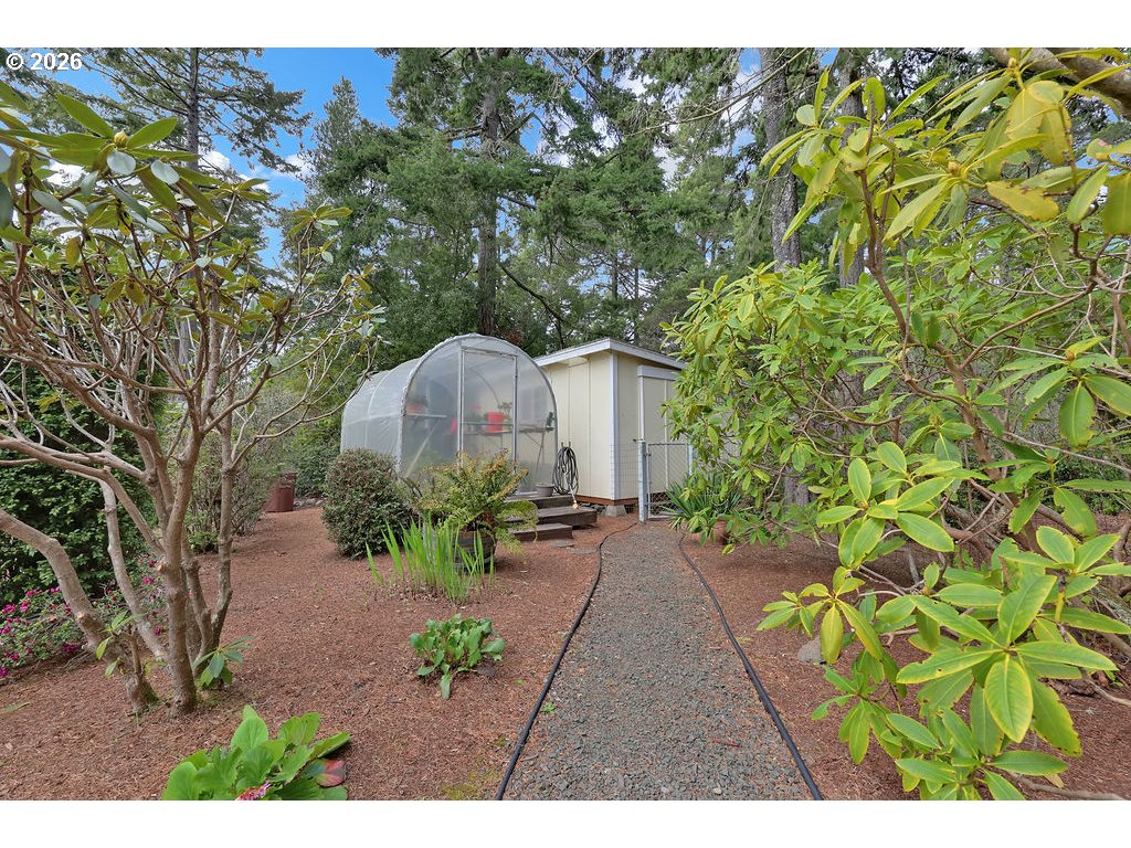 1415 20th Street Florence, OR 97439 - Photo 37 of 40 a picture of a yard