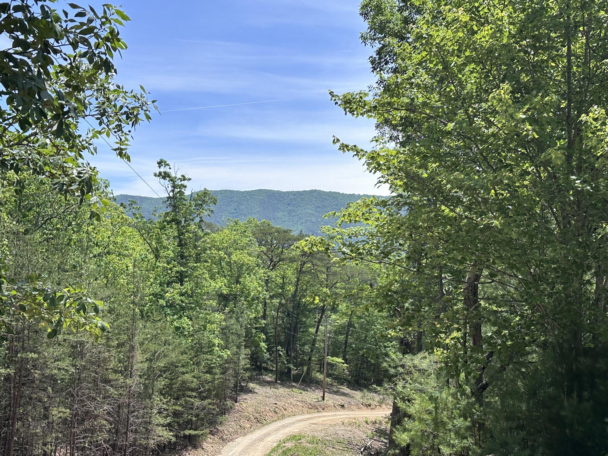 963 Upper Craigs Creek Road Catawba, VA 24070 - Photo 22 of 27 IMG_7430