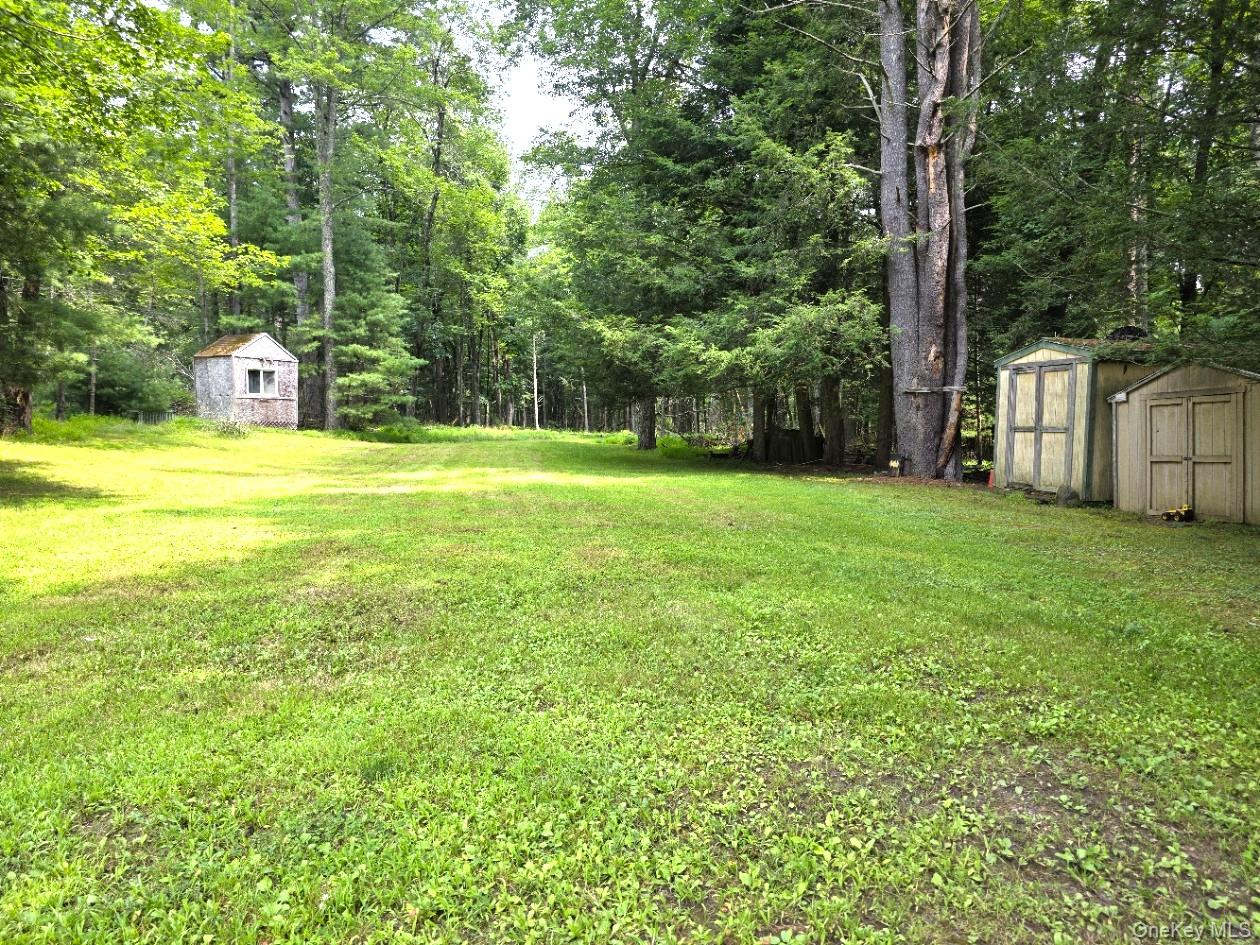 220 Mail Road Barryville, NY 12719 - Photo 6 of 20 Gallery Image 6
