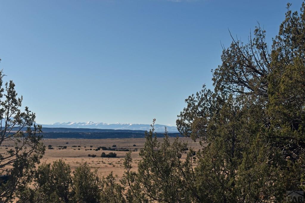 Lot 100 Narrow Gauge Way Rye, CO 81069 - Photo 7 of 42 Gallery Image 7
