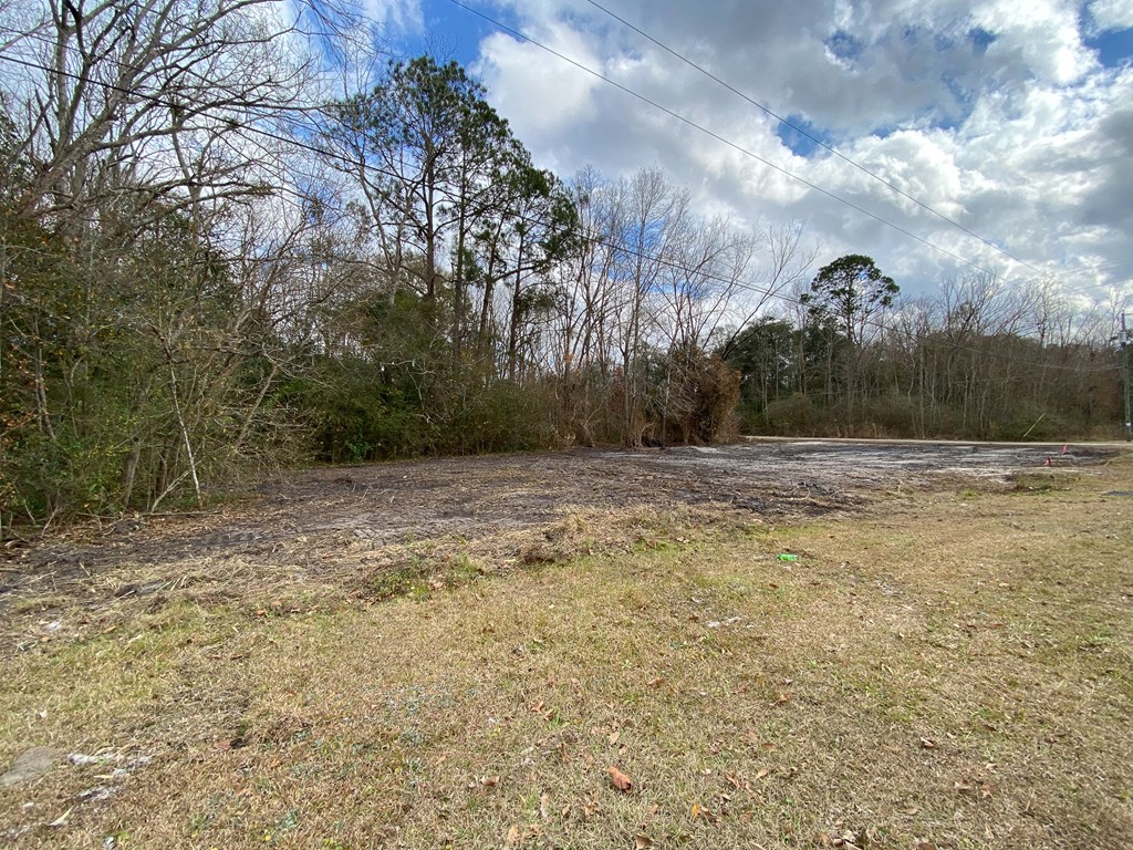 0 South Broad Street Samson, AL 36477 - Photo 3 of 10