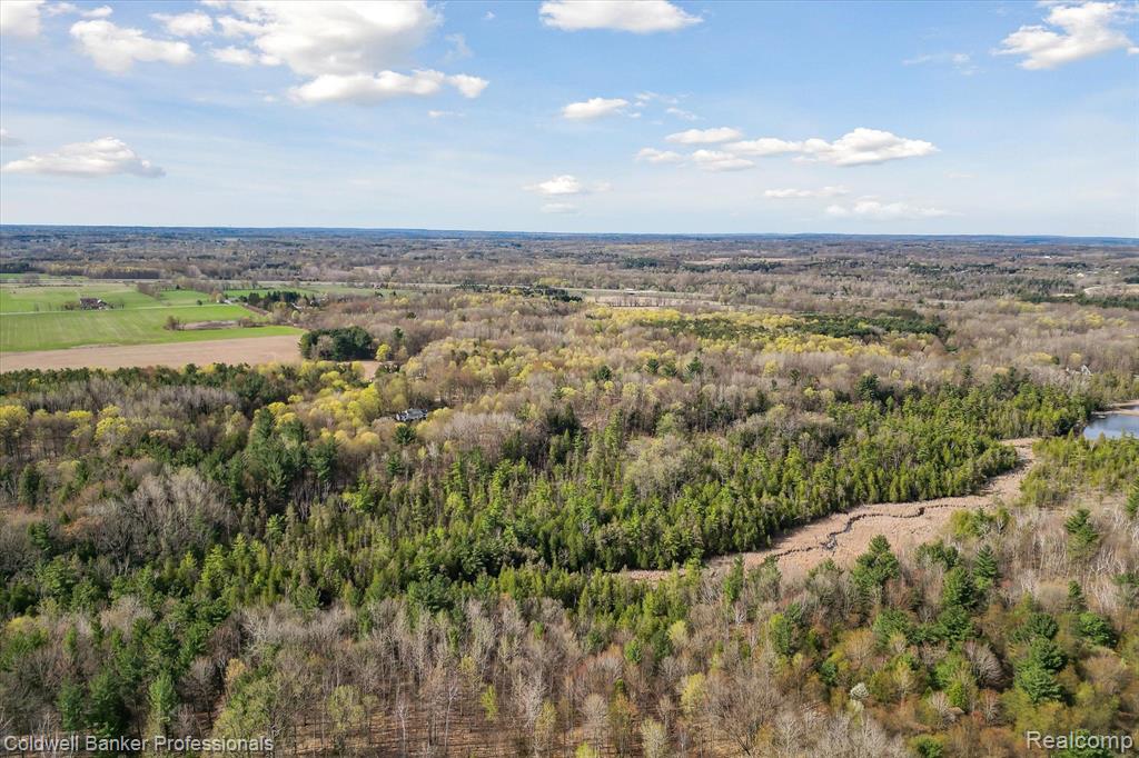 0 Conley Road Attica, MI 48412 - Photo 6 of 48 Gallery Image 6